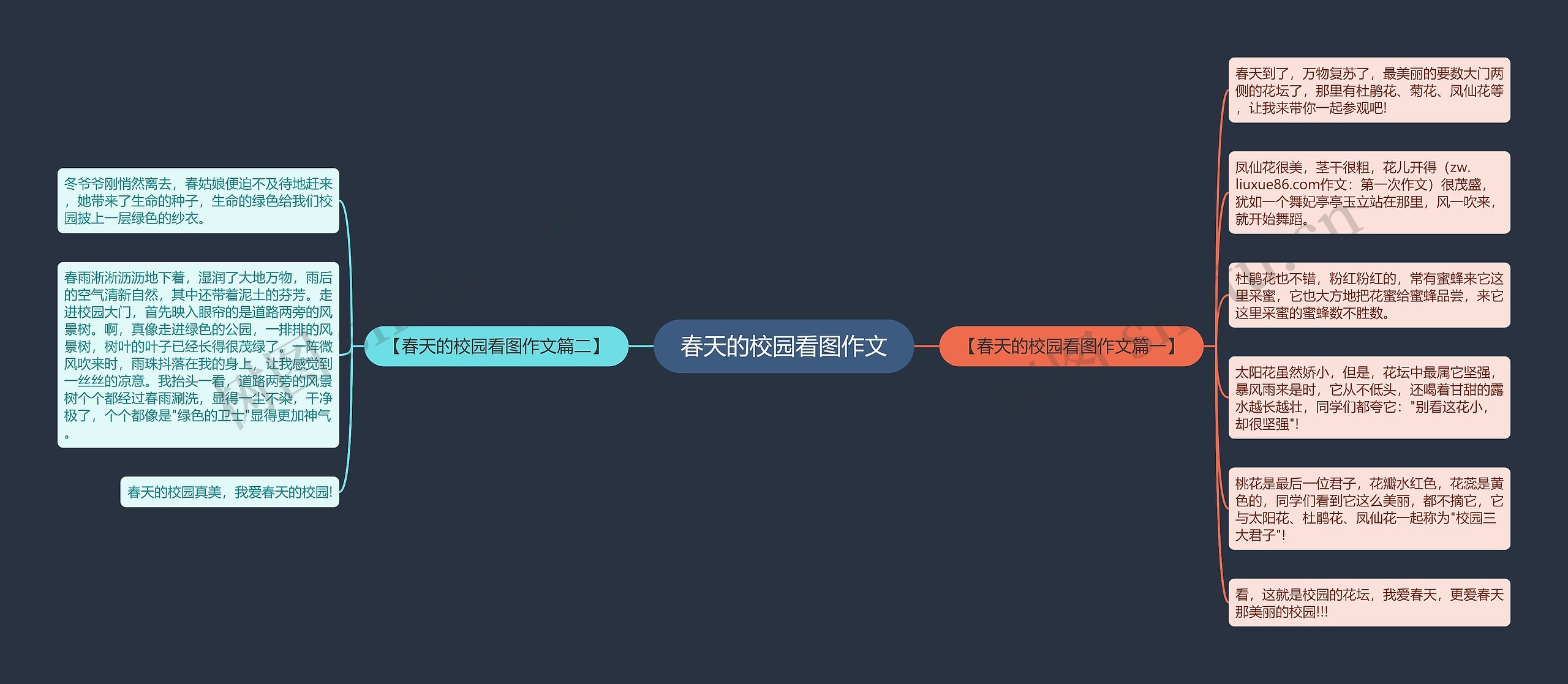 春天的校园看图作文思维导图