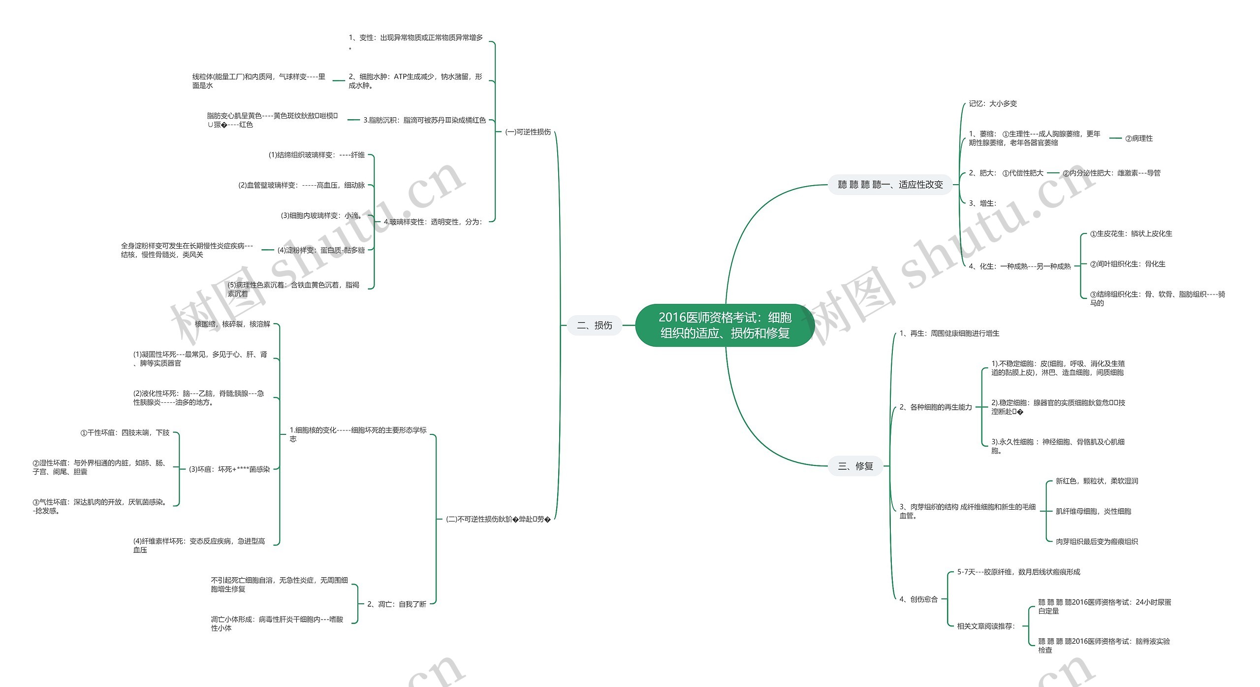 2016医师资格考试：细胞组织的适应、损伤和修复思维导图