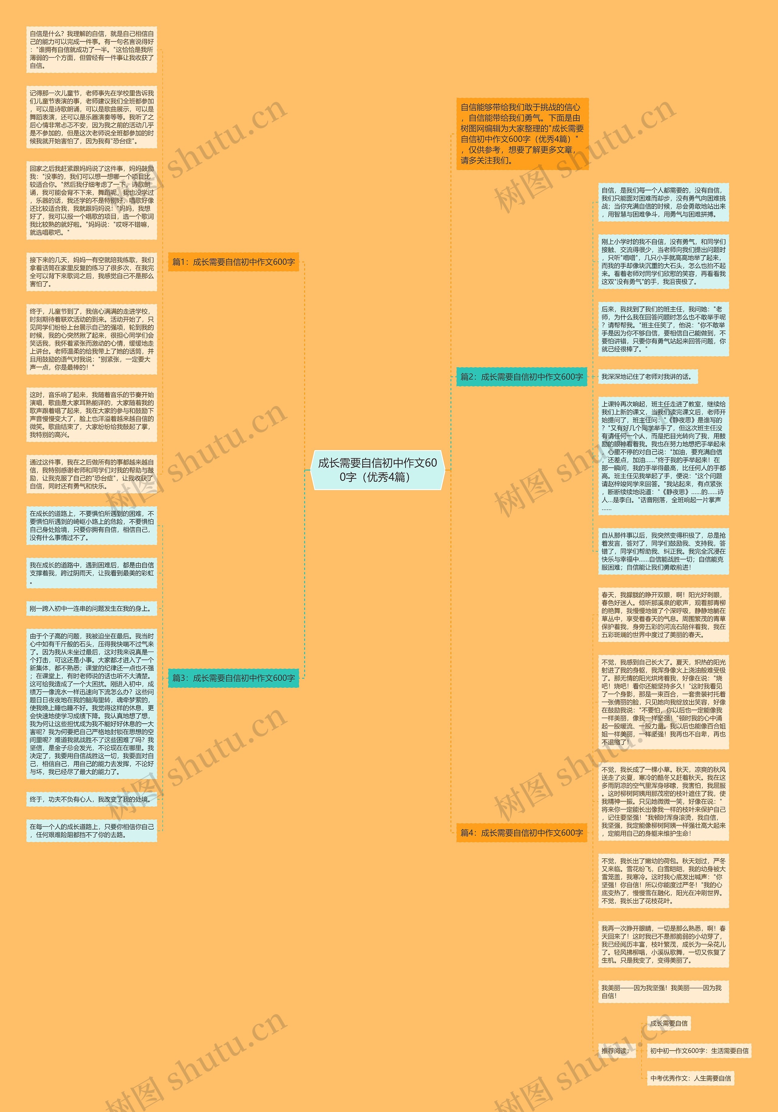 成长需要自信初中作文600字（优秀4篇）思维导图