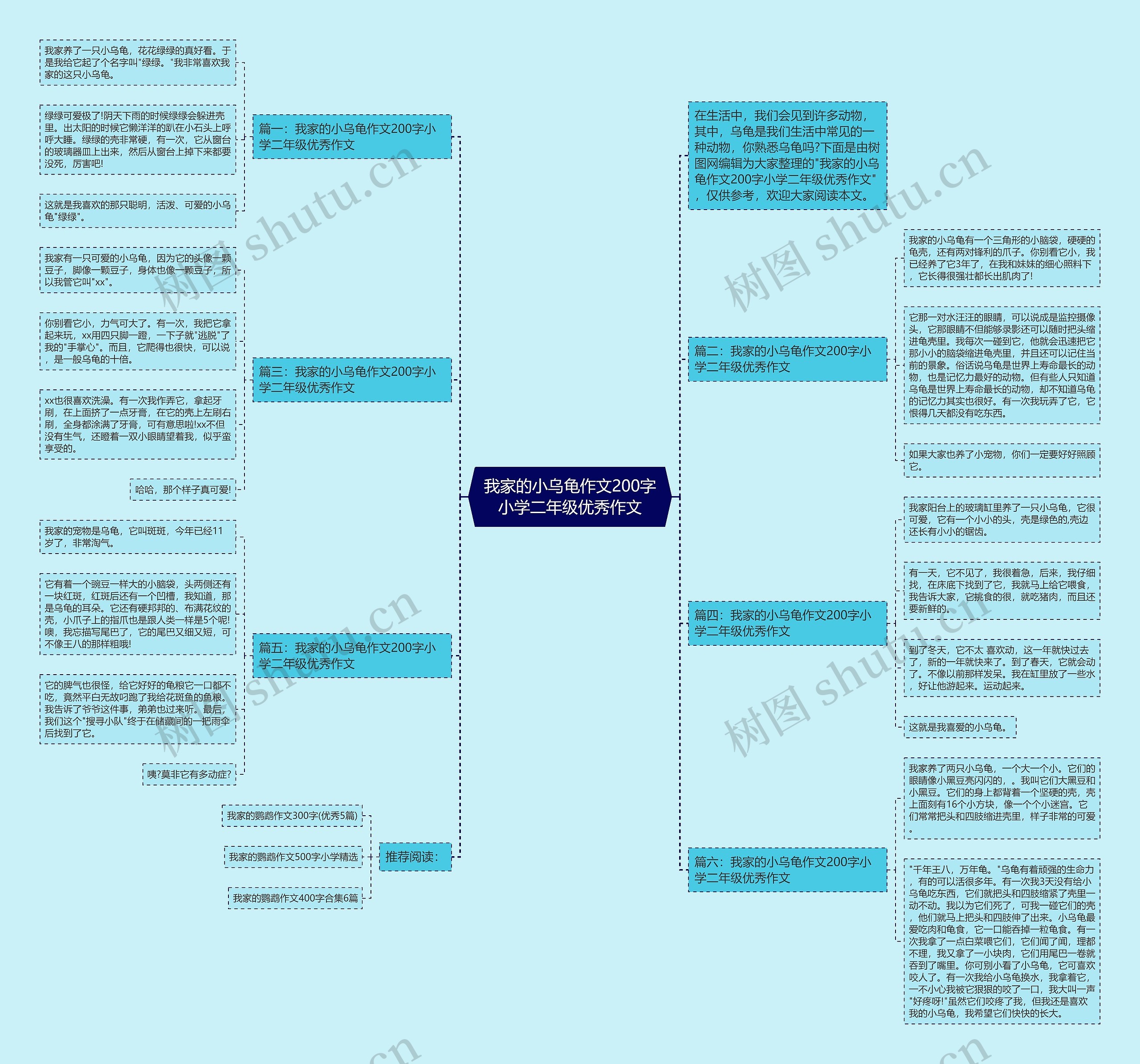 我家的小乌龟作文200字小学二年级优秀作文思维导图