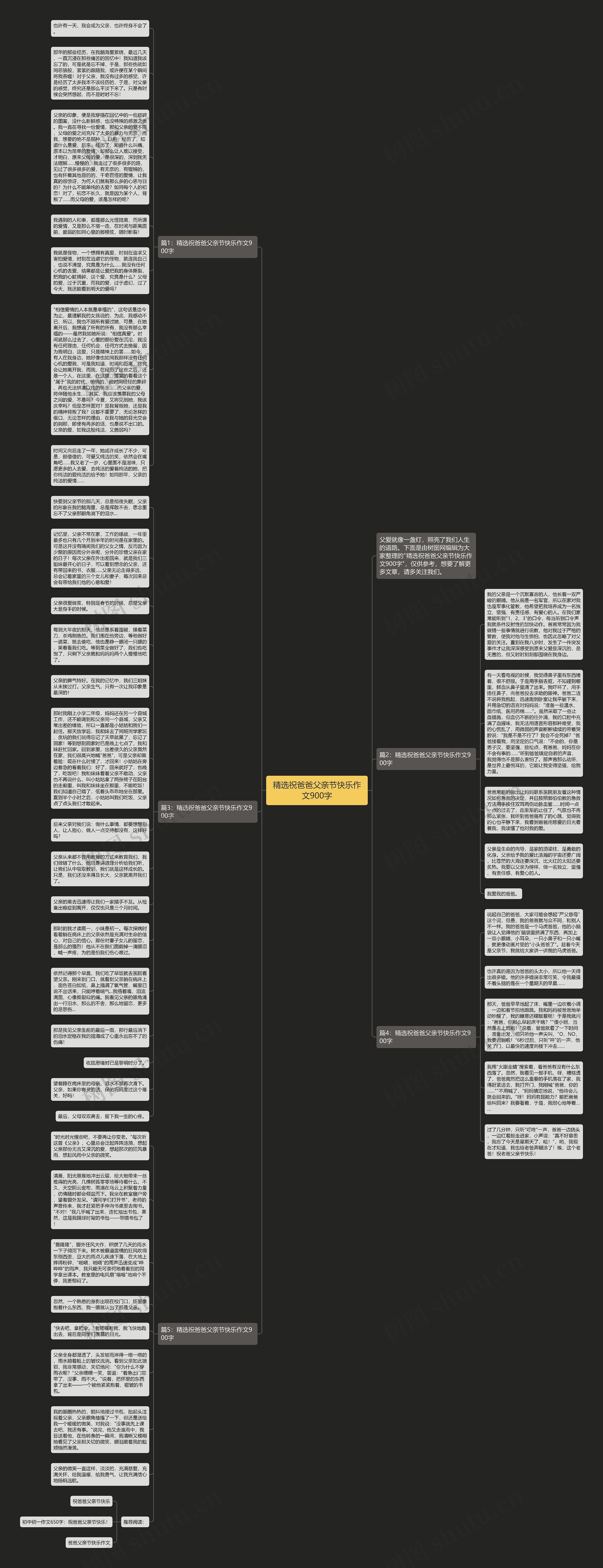 精选祝爸爸父亲节快乐作文900字思维导图