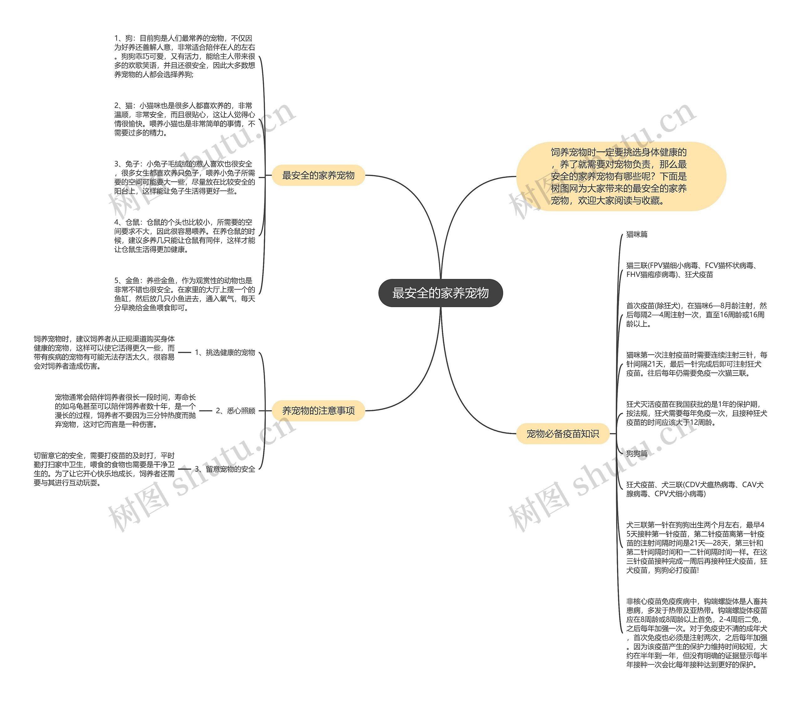 最安全的家养宠物思维导图