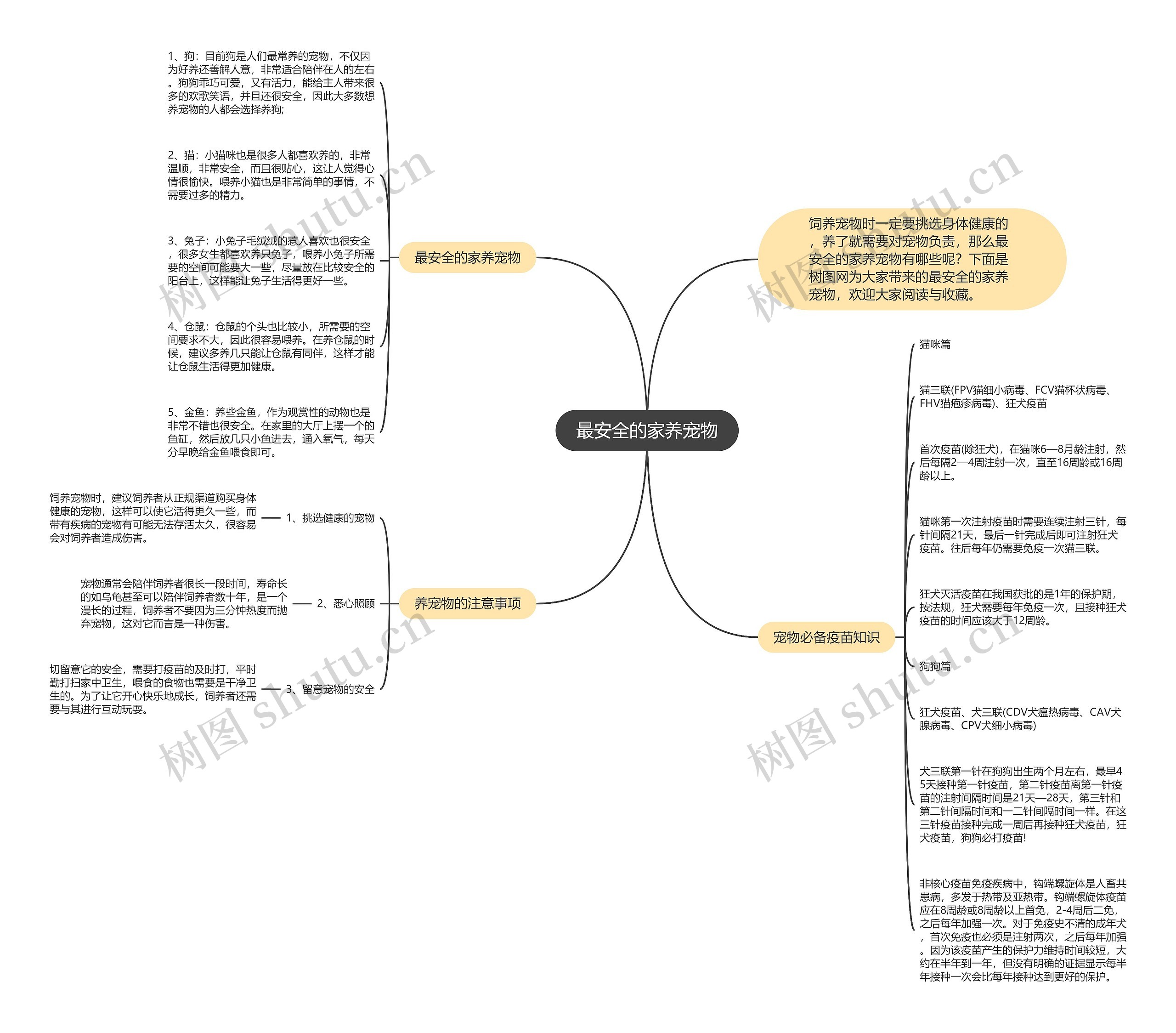 最安全的家养宠物思维导图高清图 最安全的家养宠物思维导图