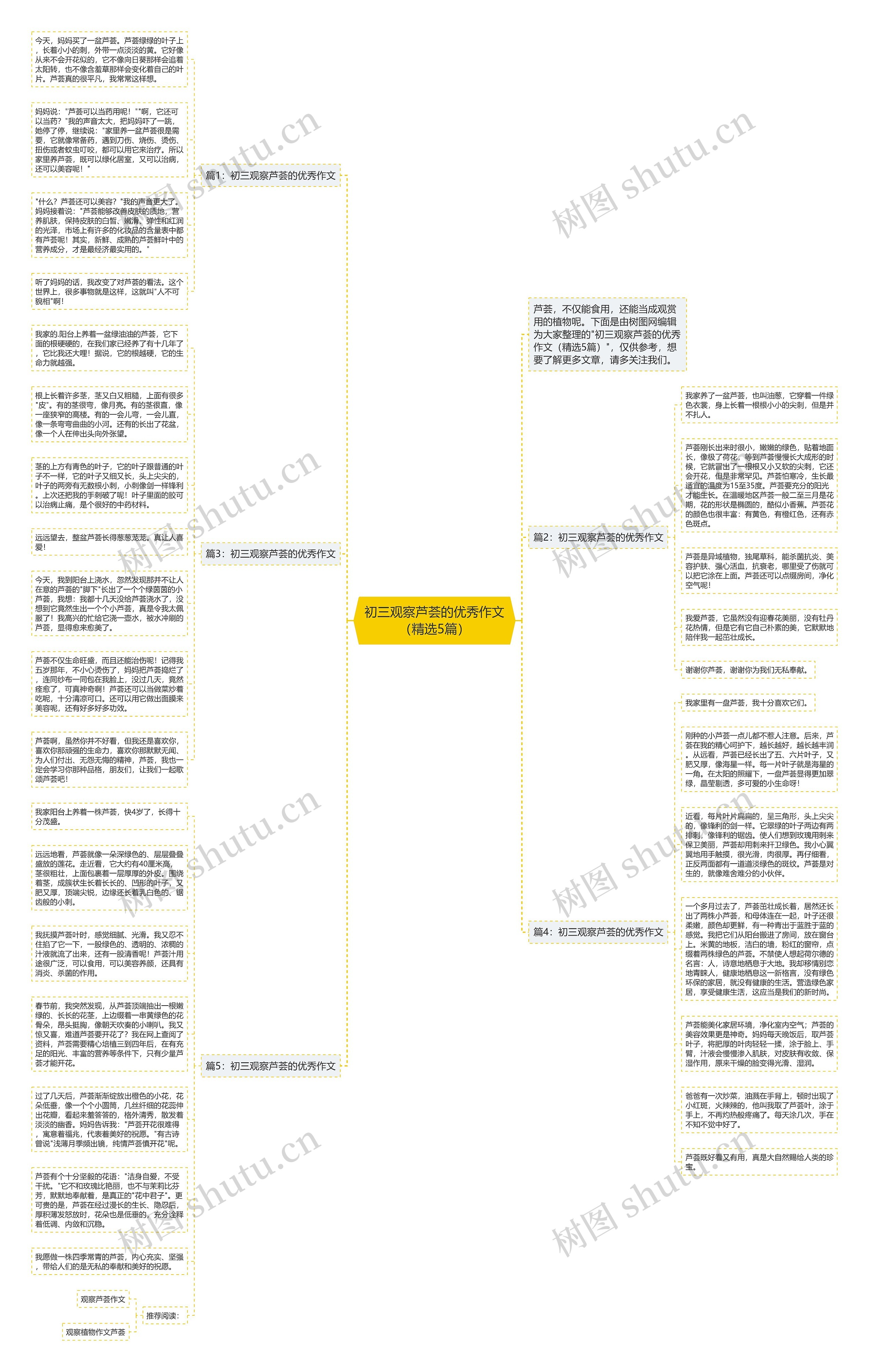 初三观察芦荟的优秀作文（精选5篇）思维导图