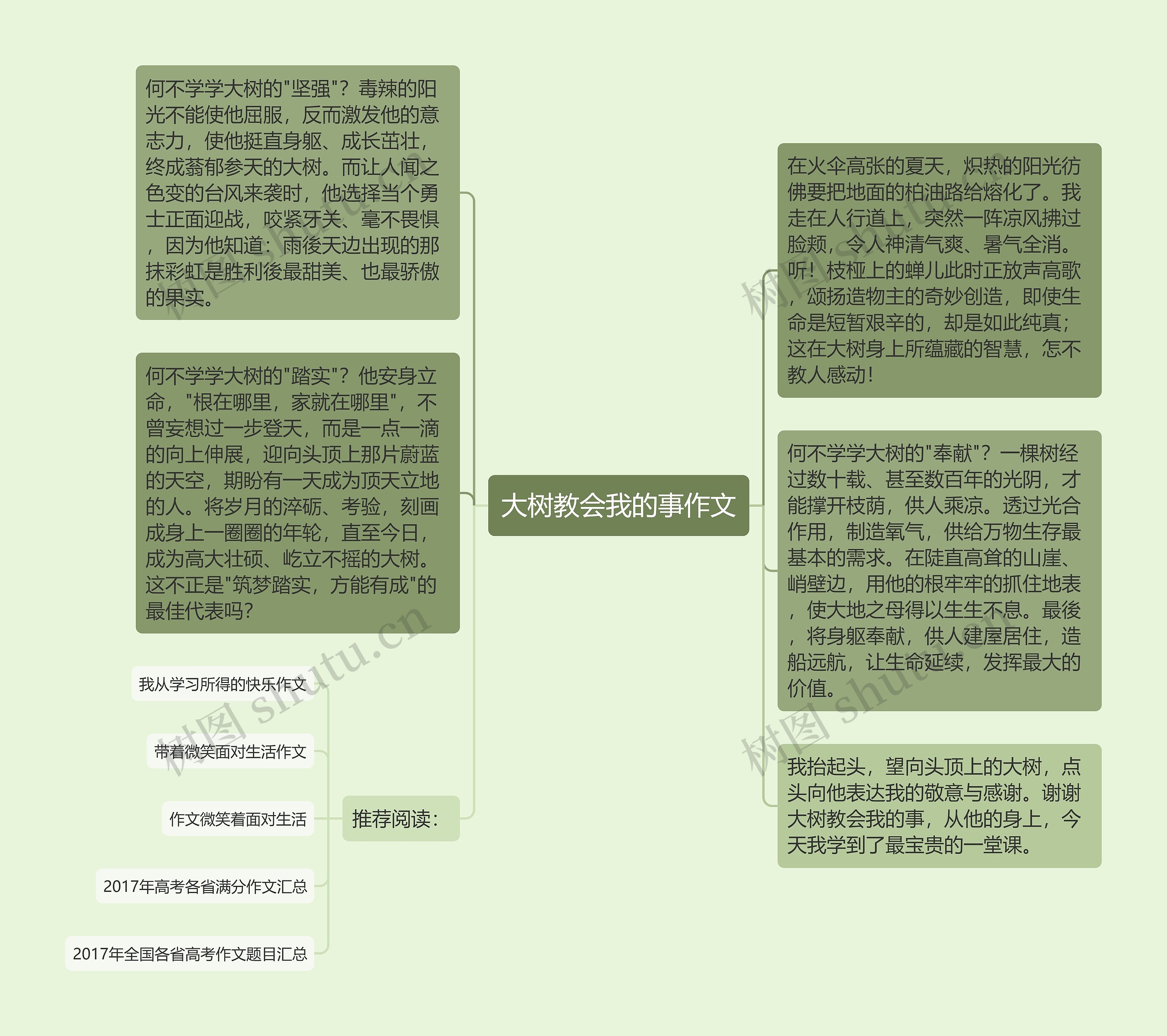 大树教会我的事作文