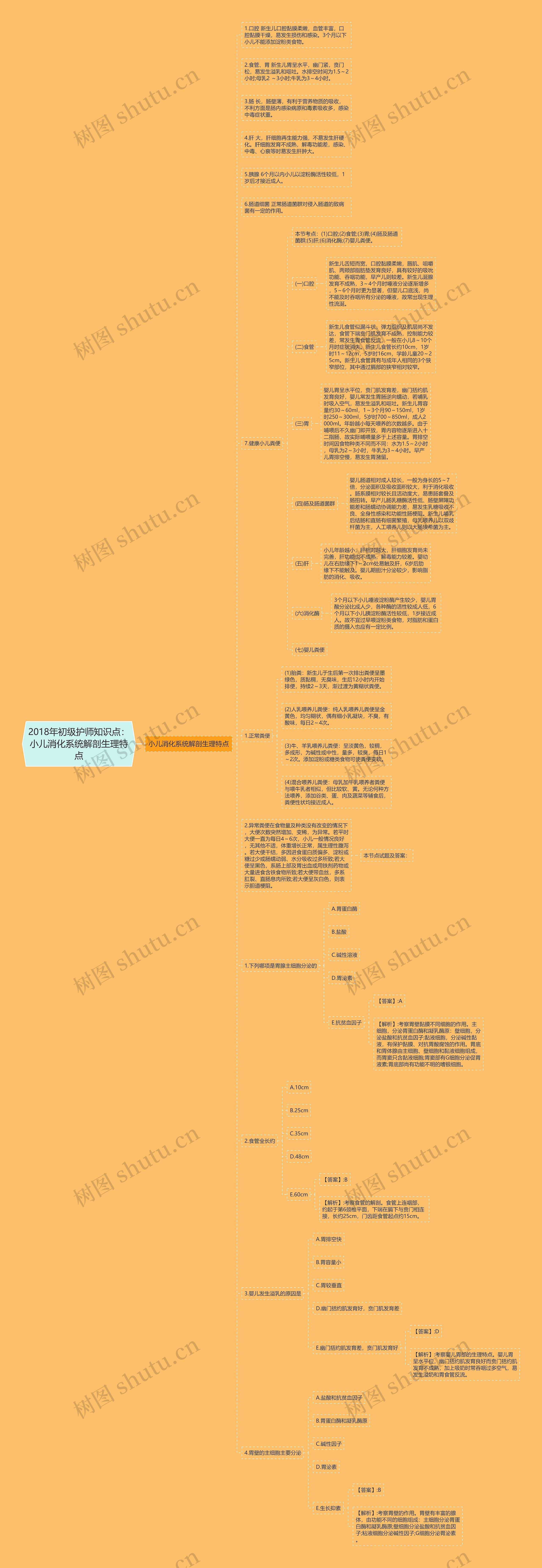 2018年初级护师知识点：小儿消化系统解剖生理特点思维导图