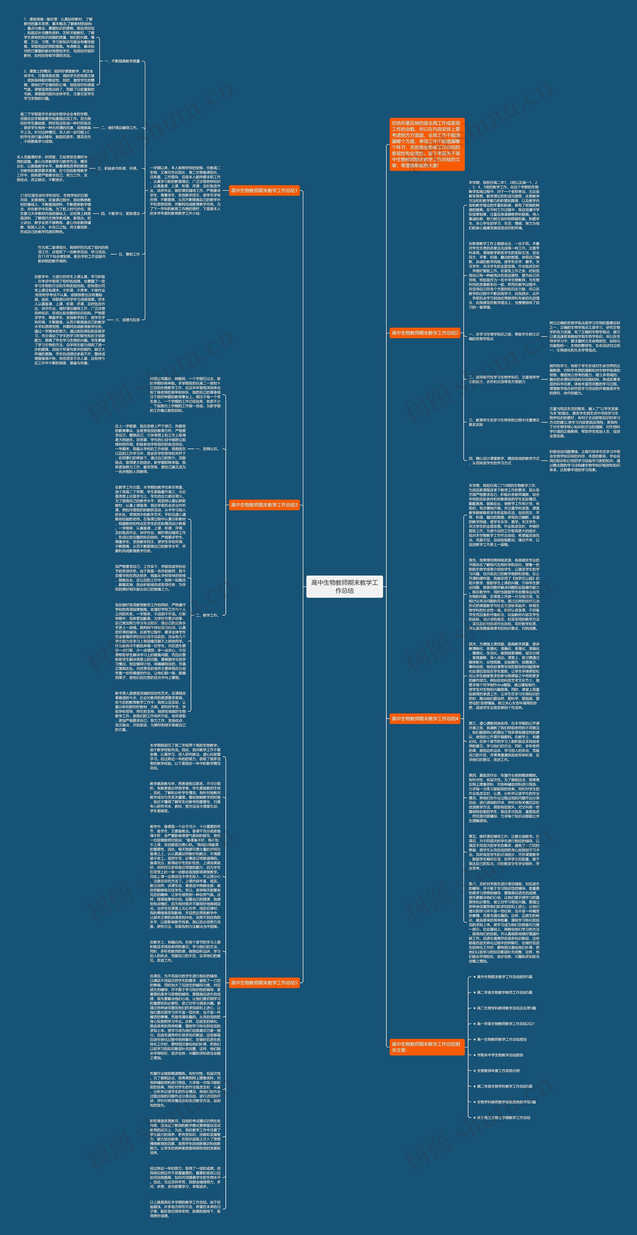 高中生物教师期末教学工作总结思维导图