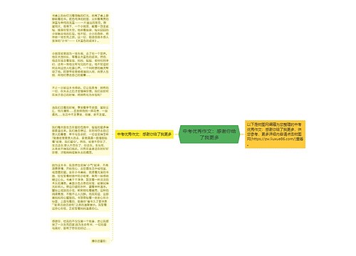 中考优秀作文：感谢你给了我更多