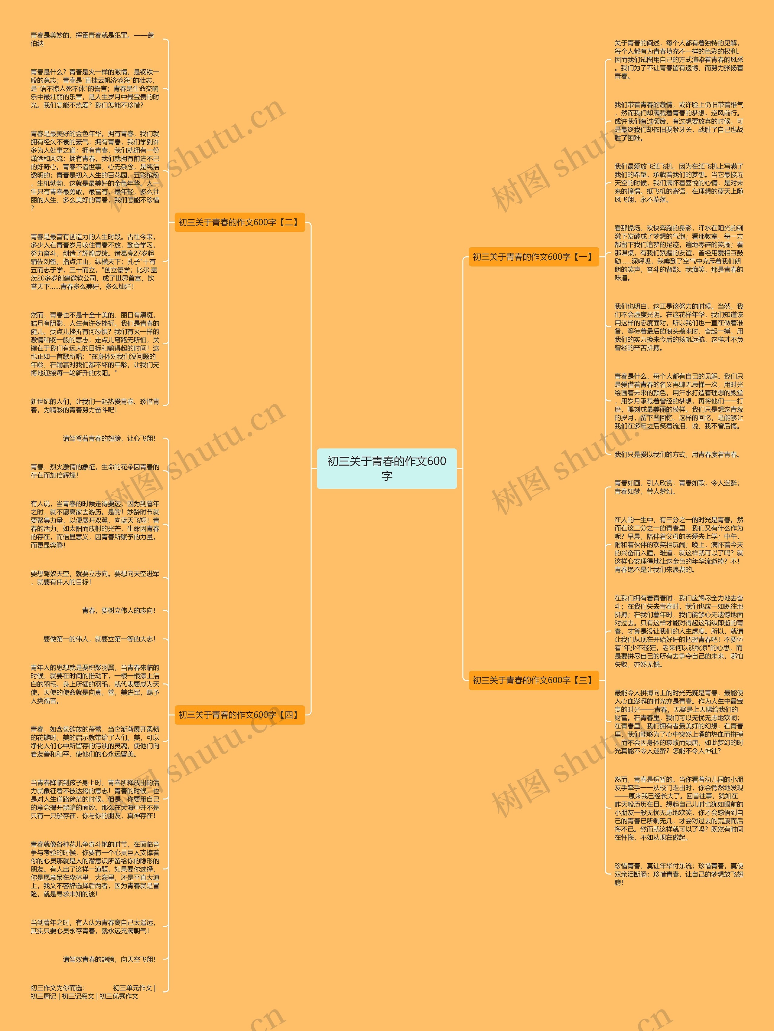 初三关于青春的作文600字思维导图