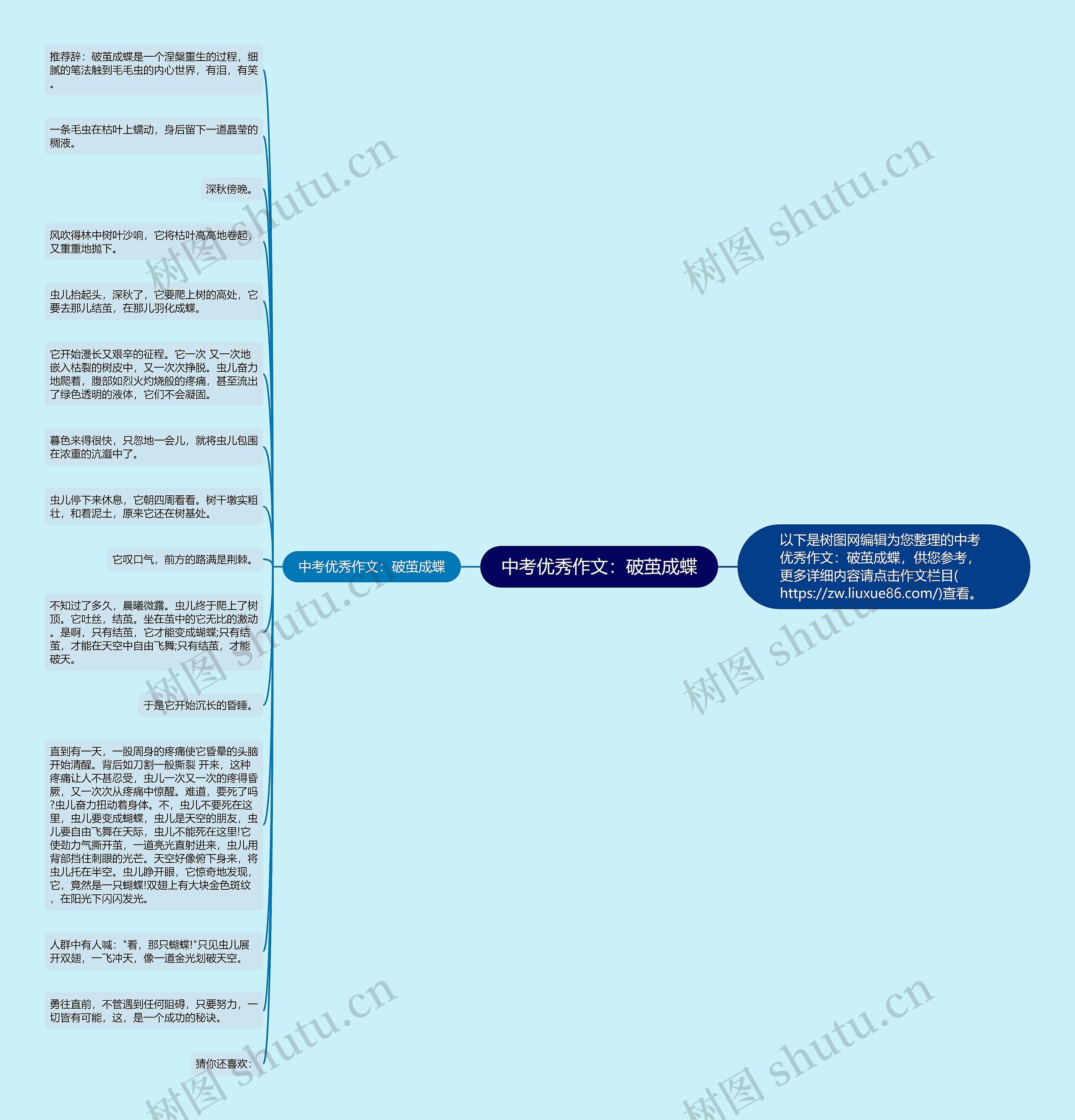中考优秀作文：破茧成蝶思维导图