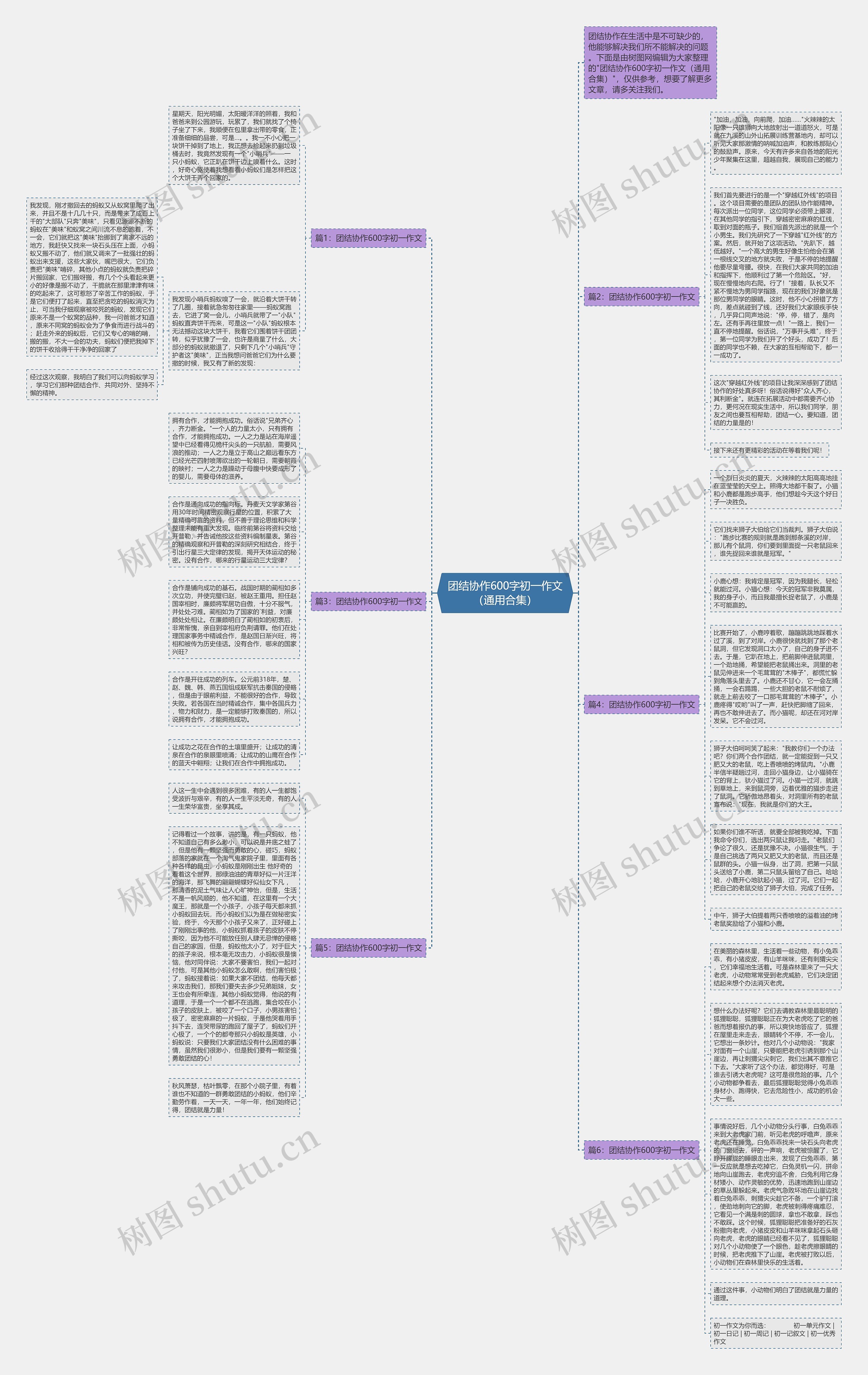 团结协作600字初一作文（通用合集）思维导图