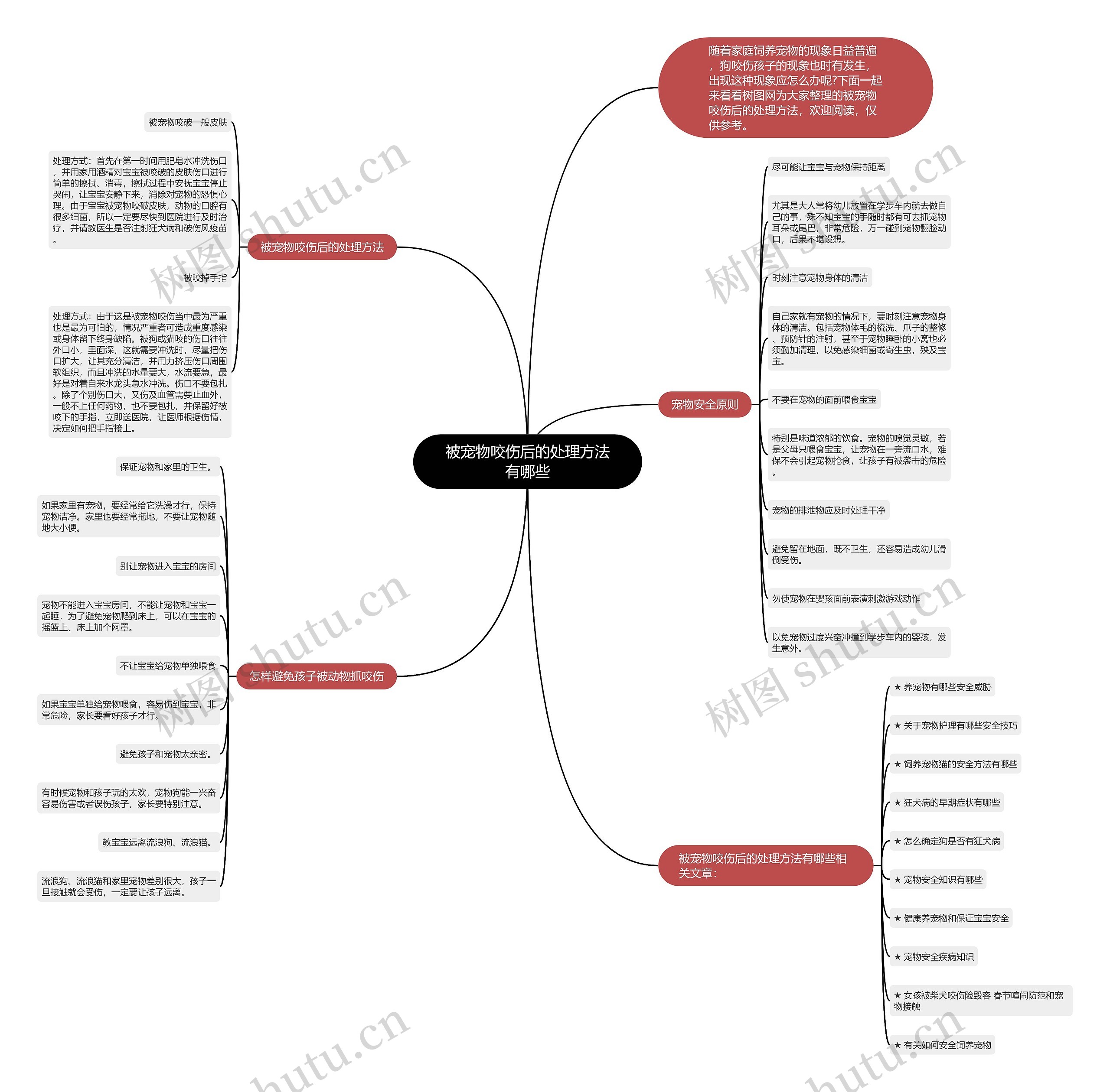 被宠物咬伤后的处理方法有哪些思维导图