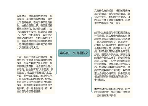 难忘的一次相遇作文