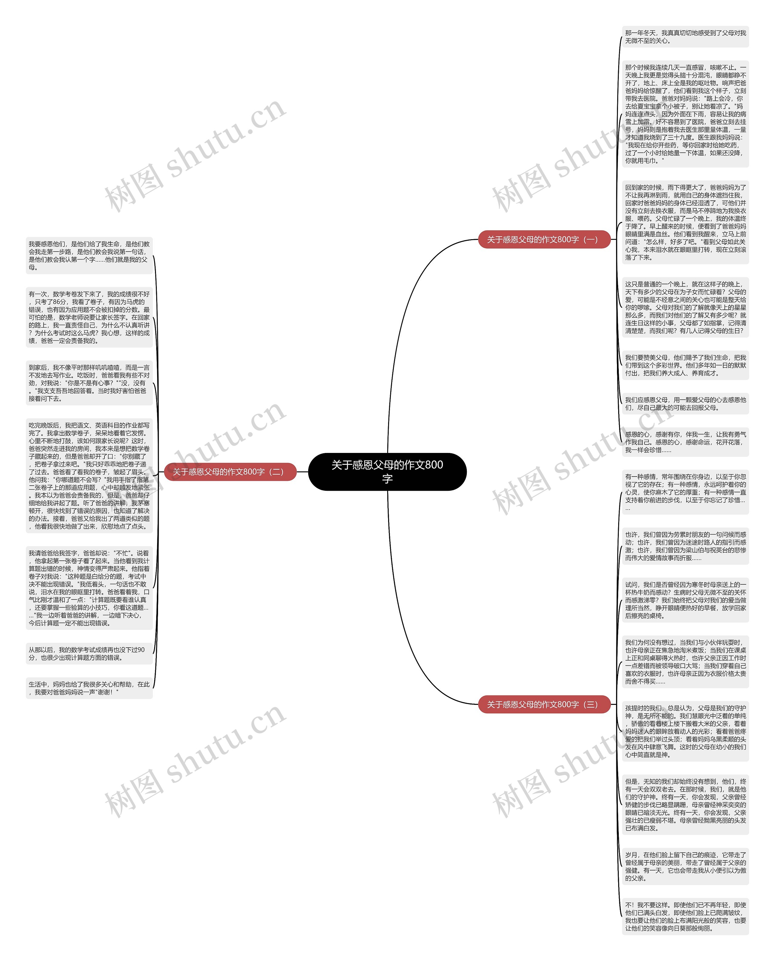 关于感恩父母的作文800字思维导图