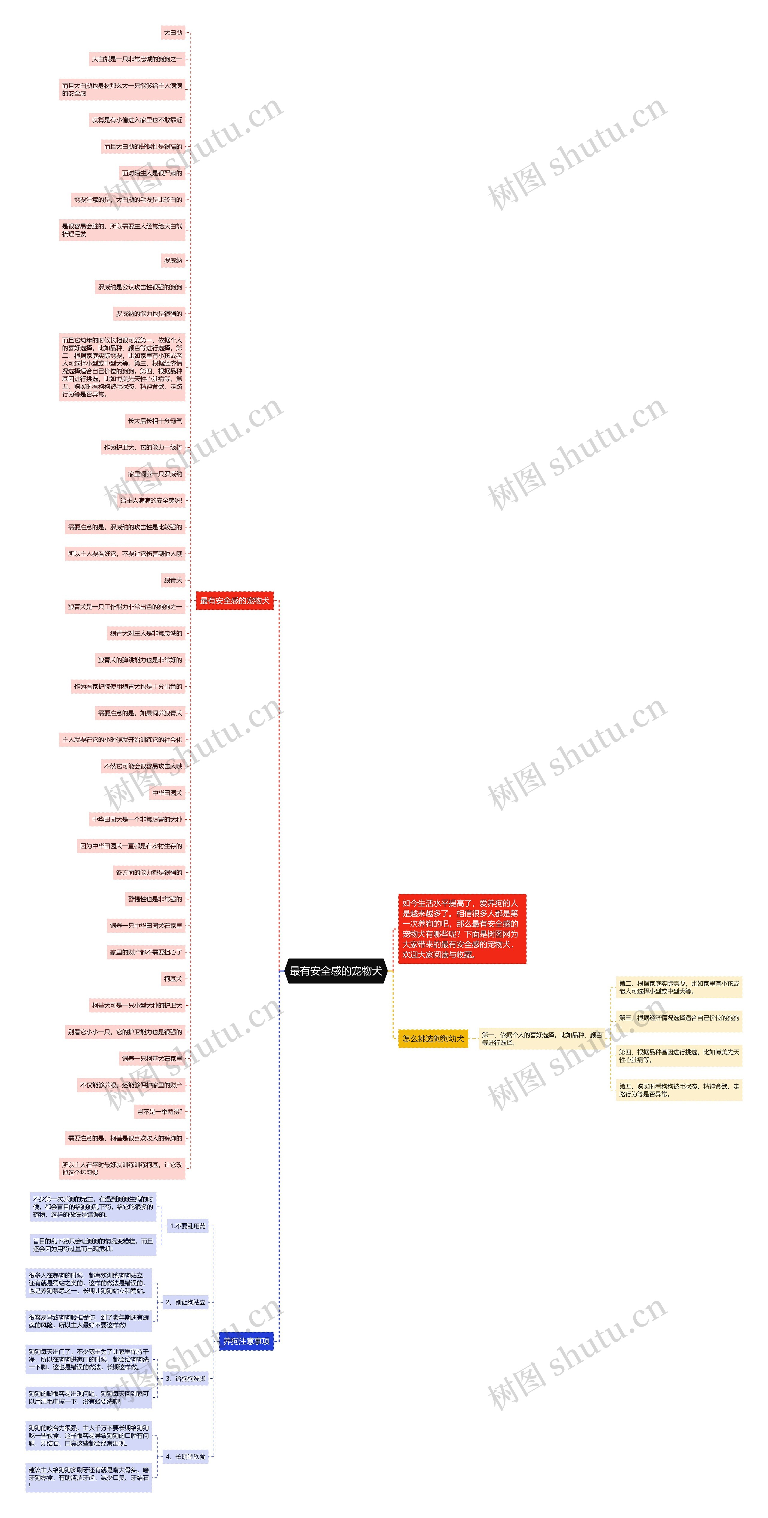 最有安全感的宠物犬思维导图高清图 最有安全感的宠物犬思维导图