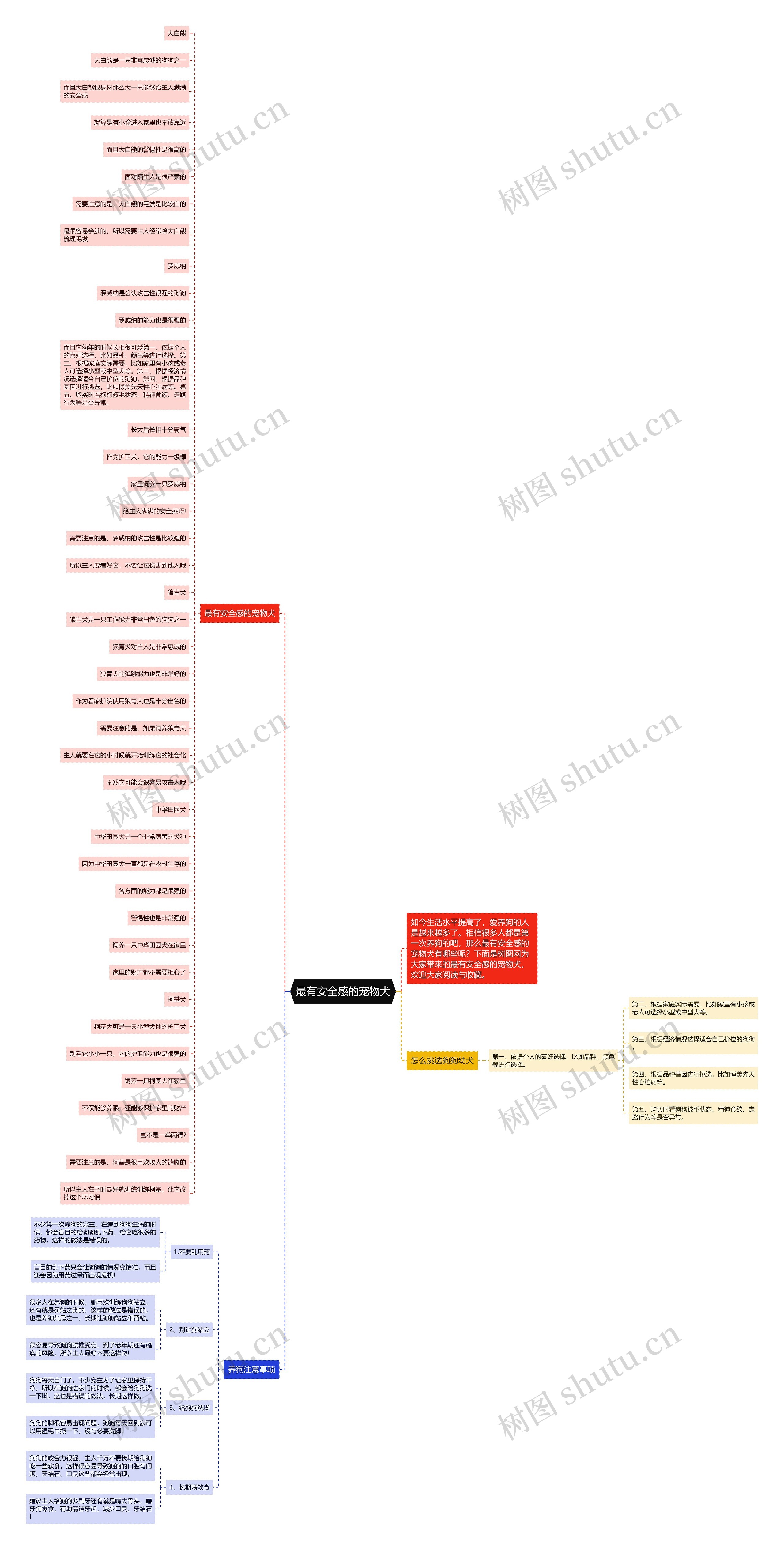 最有安全感的宠物犬思维导图