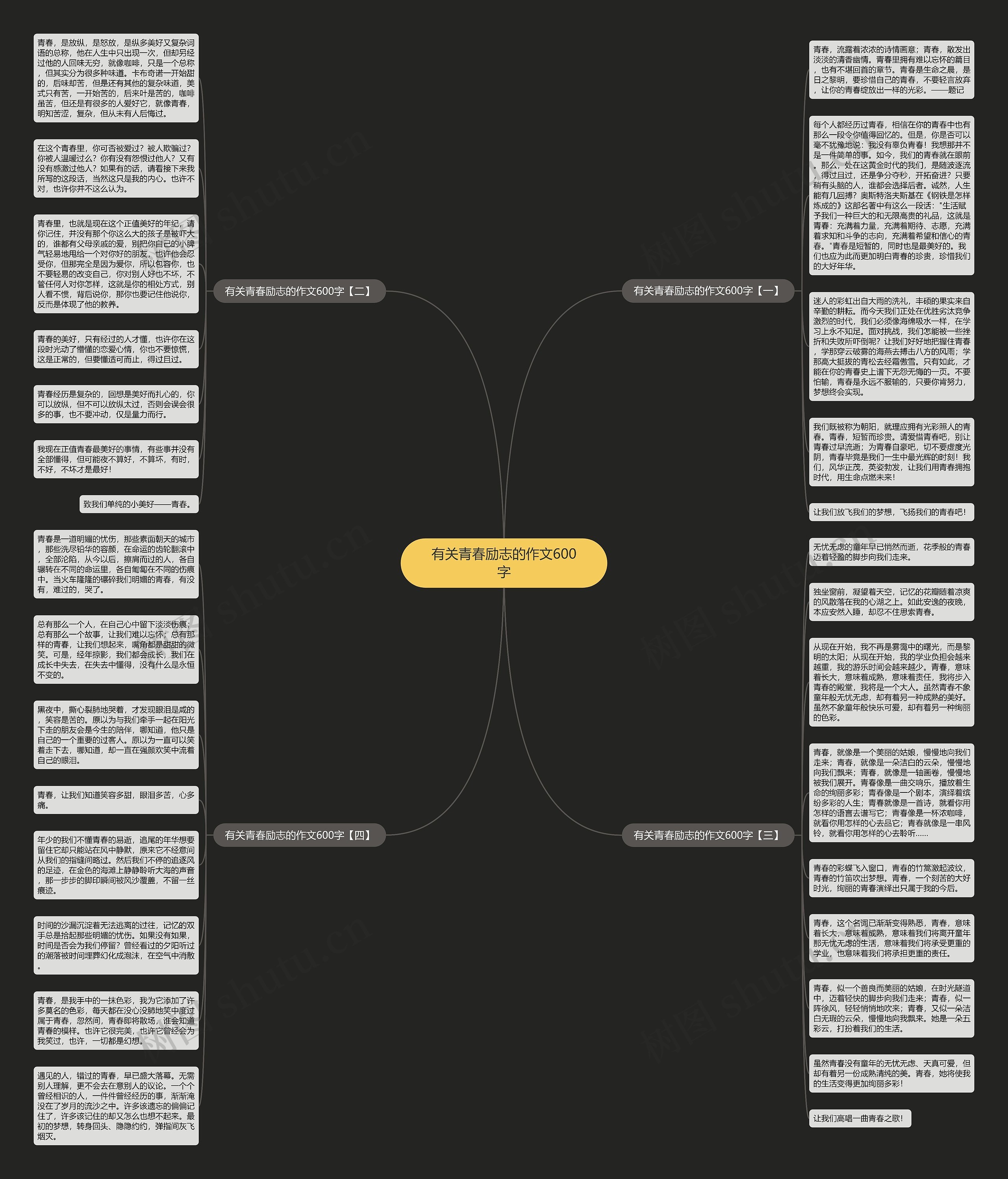 有关青春励志的作文600字思维导图