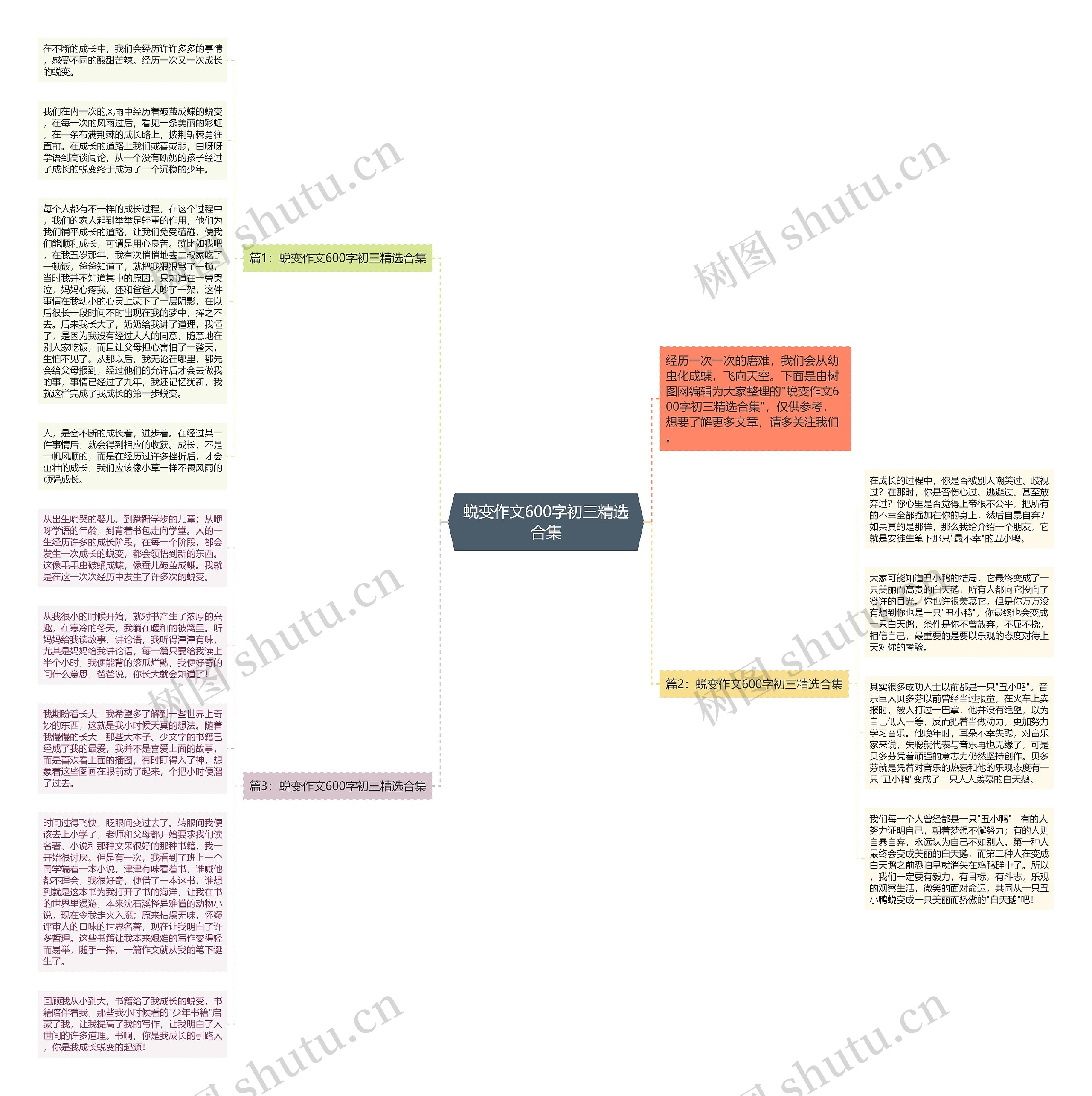 蜕变作文600字初三精选合集思维导图