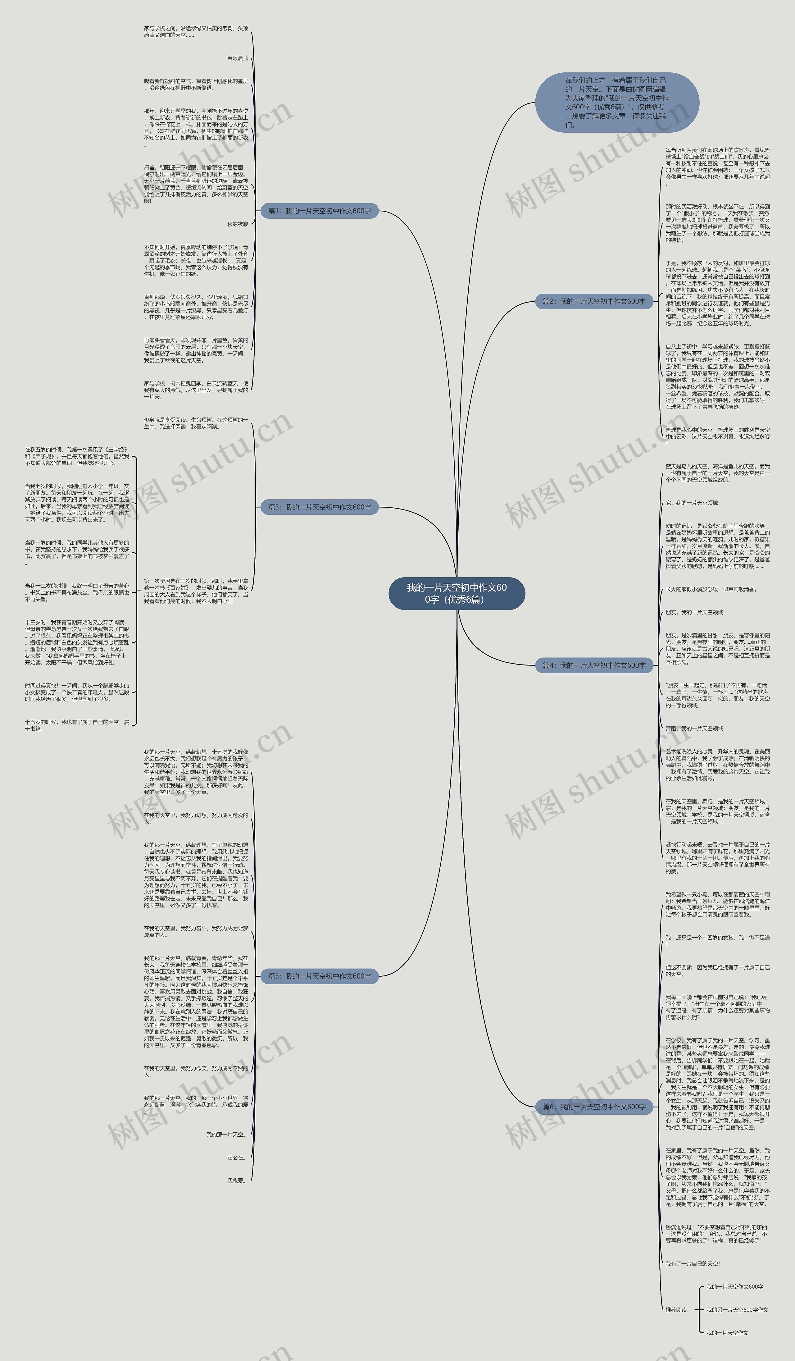 我的一片天空初中作文600字（优秀6篇）思维导图
