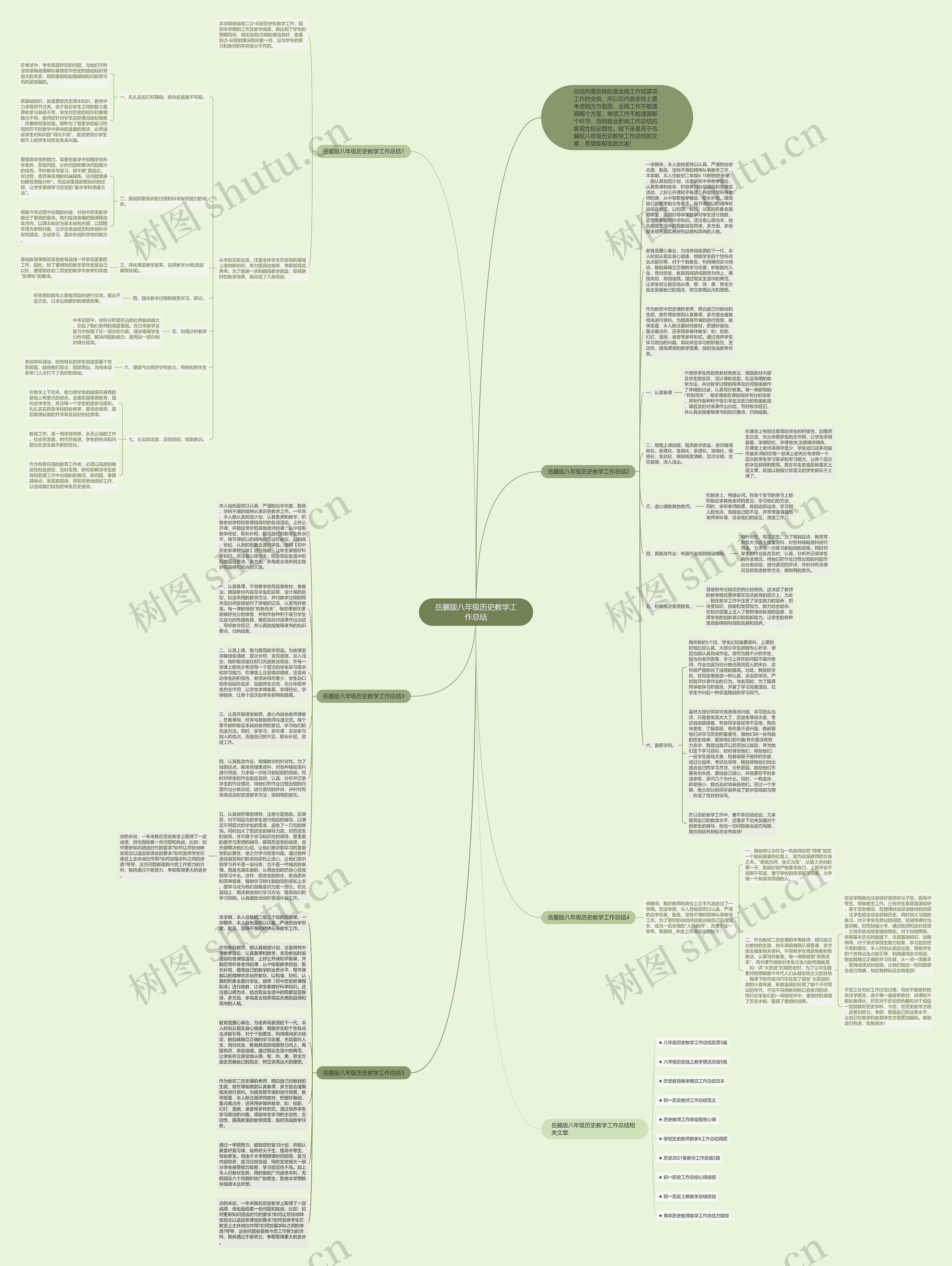 岳麓版八年级历史教学工作总结思维导图