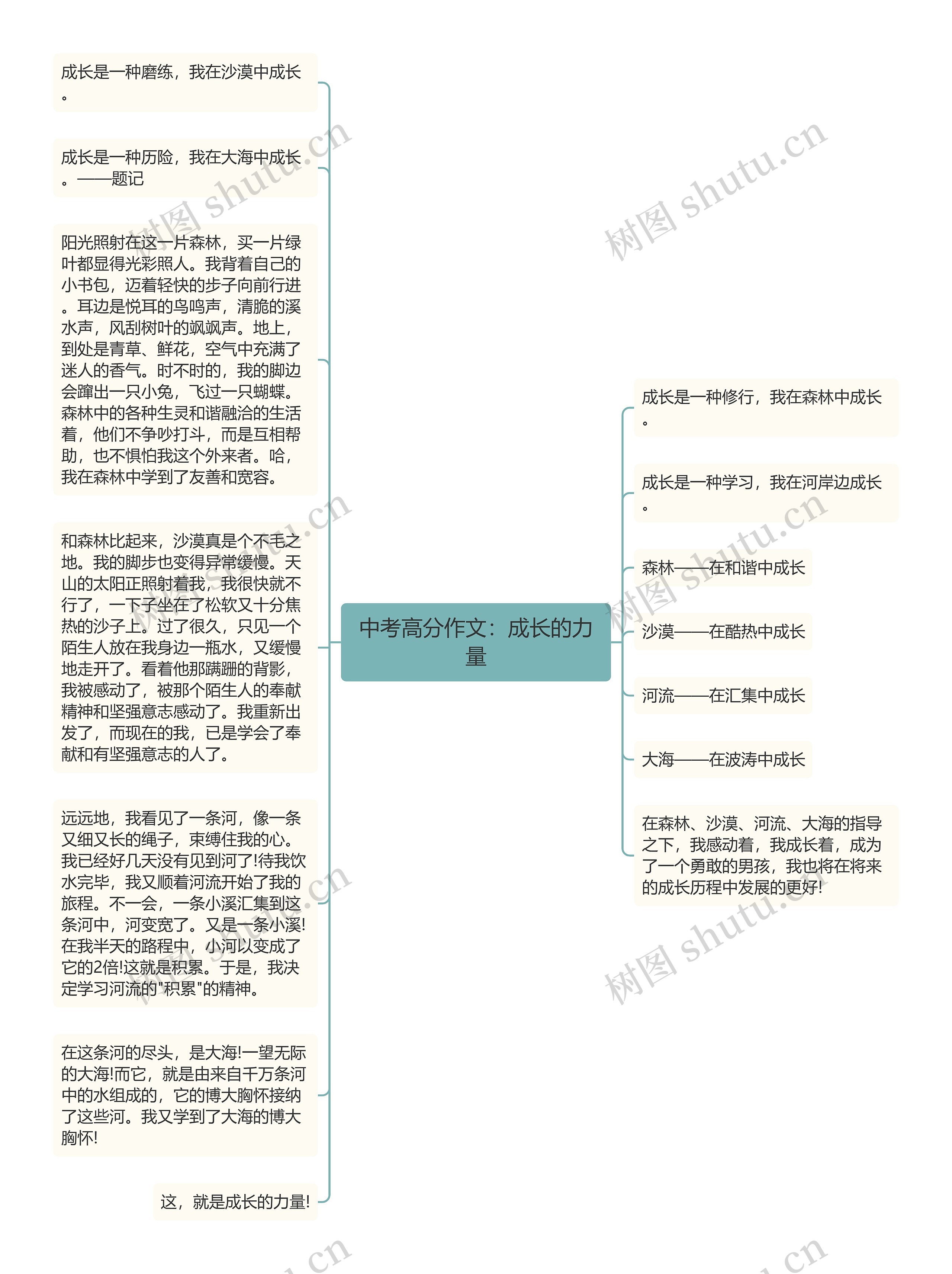 中考高分作文：成长的力量