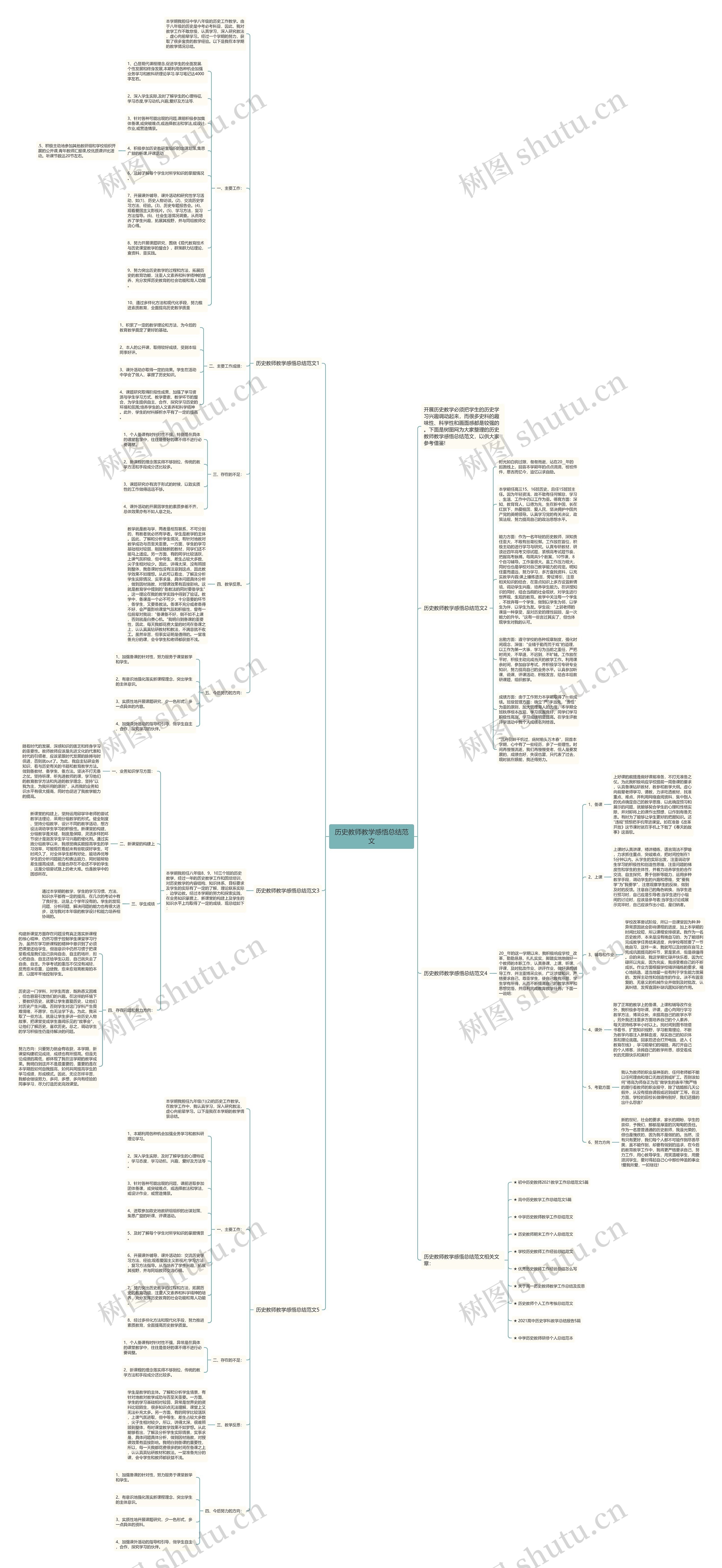 历史教师教学感悟总结范文思维导图