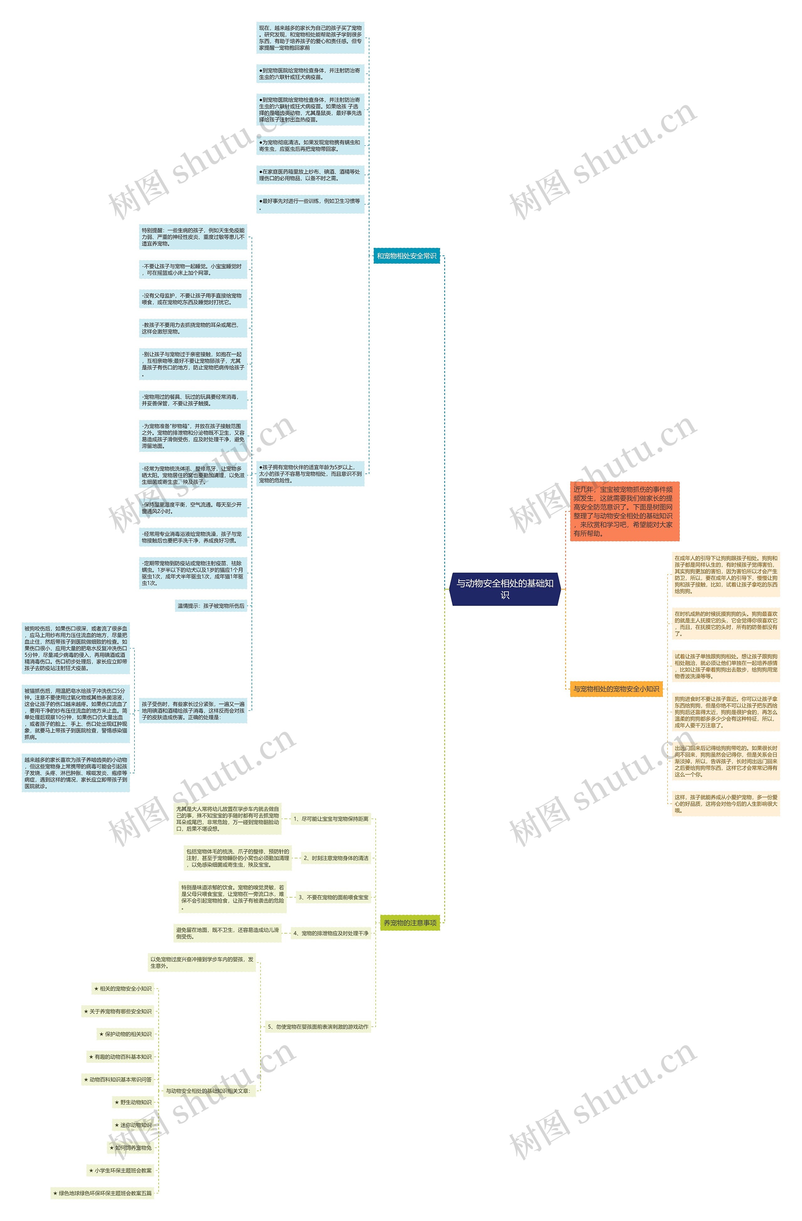 与动物安全相处的基础知识思维导图