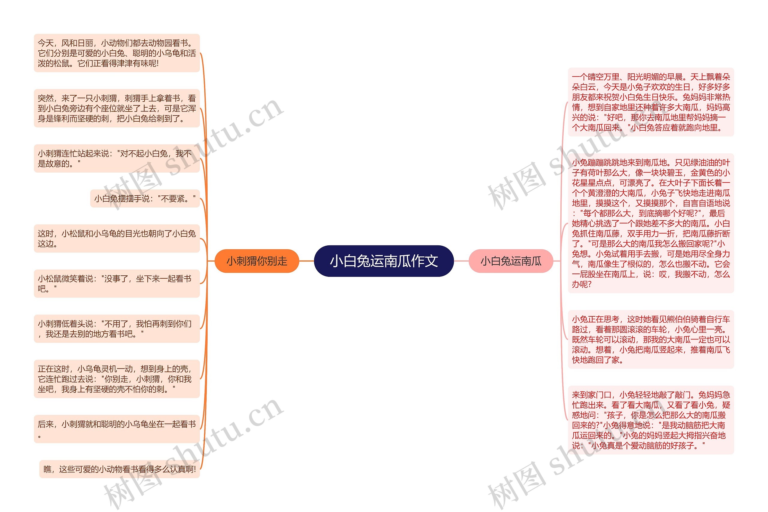 小白兔运南瓜作文