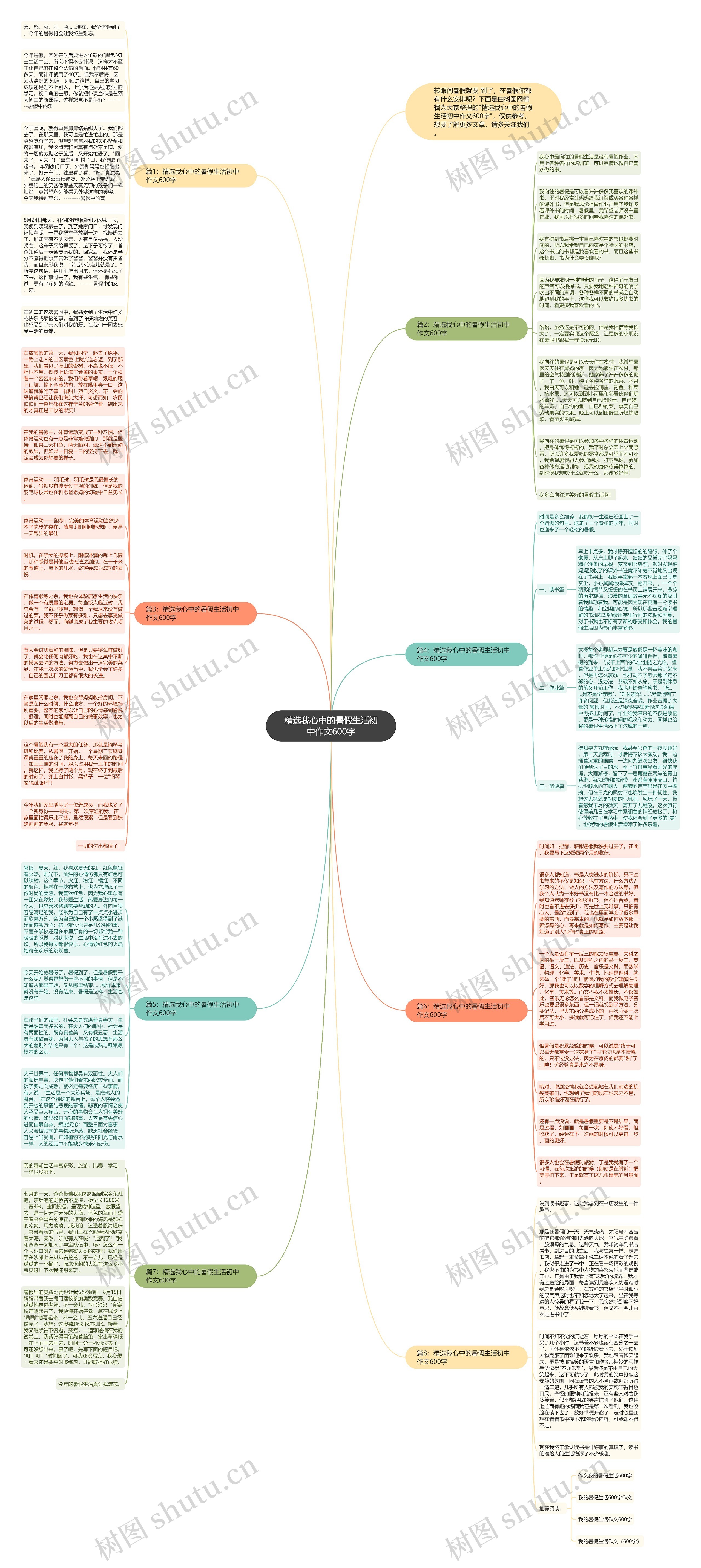 精选我心中的暑假生活初中作文600字思维导图