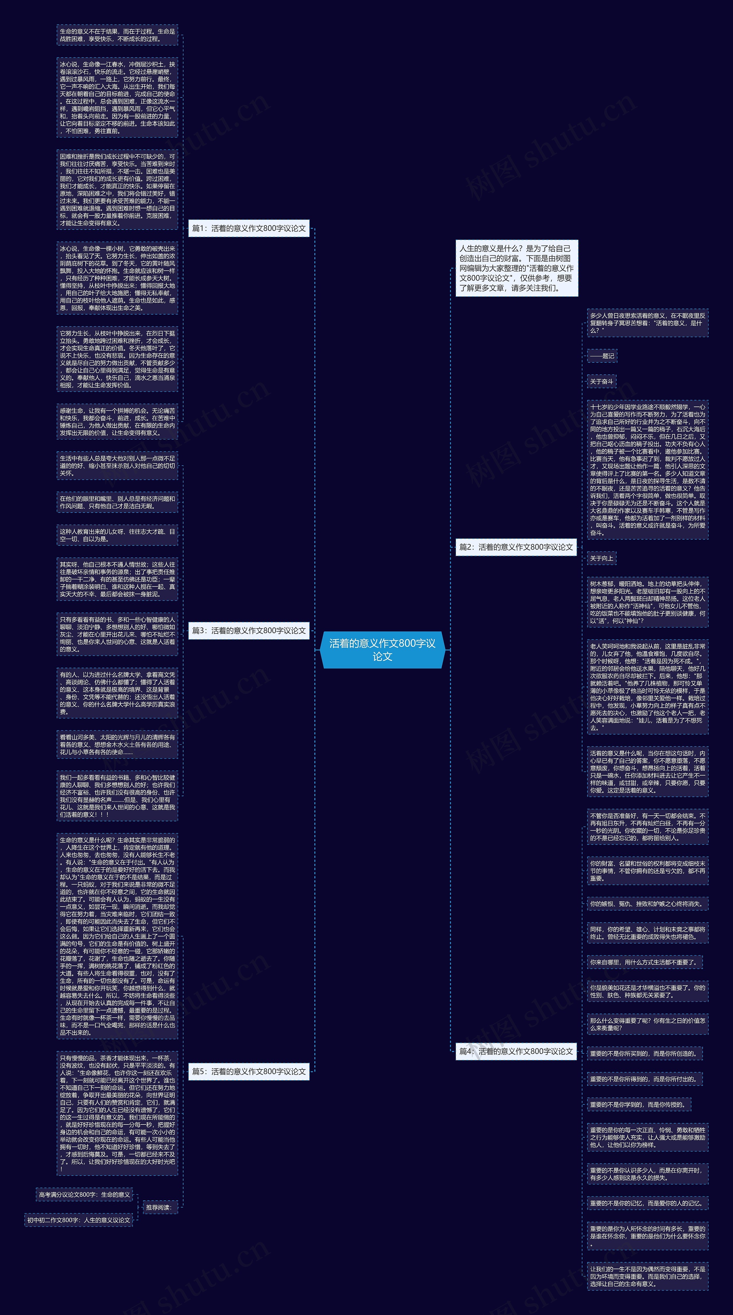 活着的意义作文800字议论文思维导图