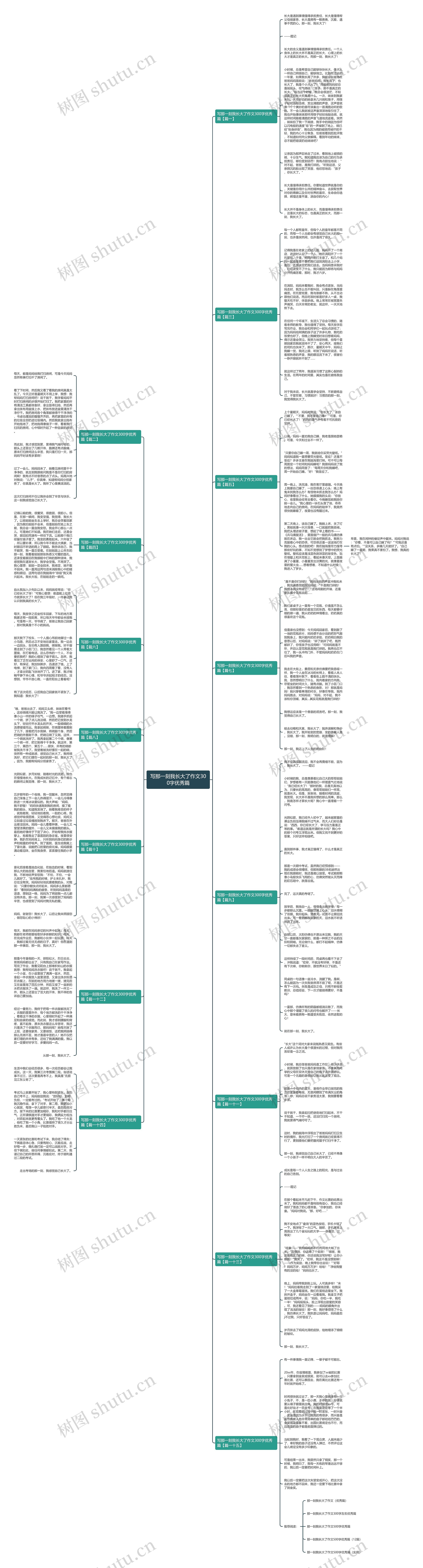 写那一刻我长大了作文300字优秀篇思维导图