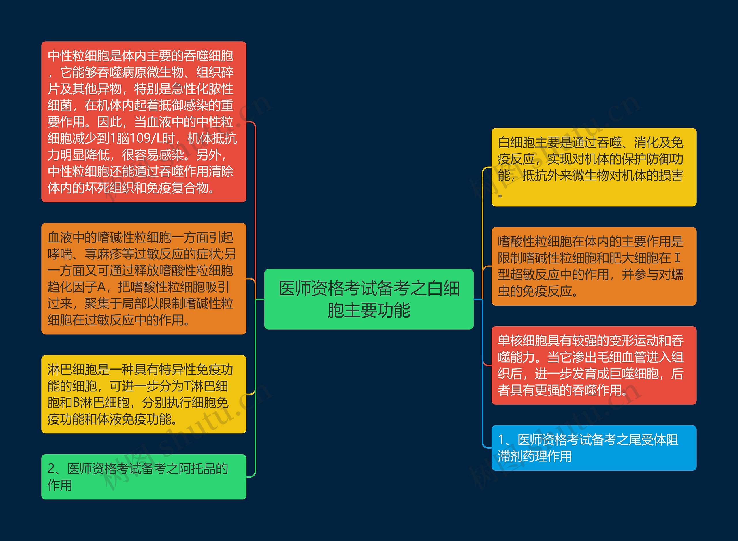 医师资格考试备考之白细胞主要功能思维导图