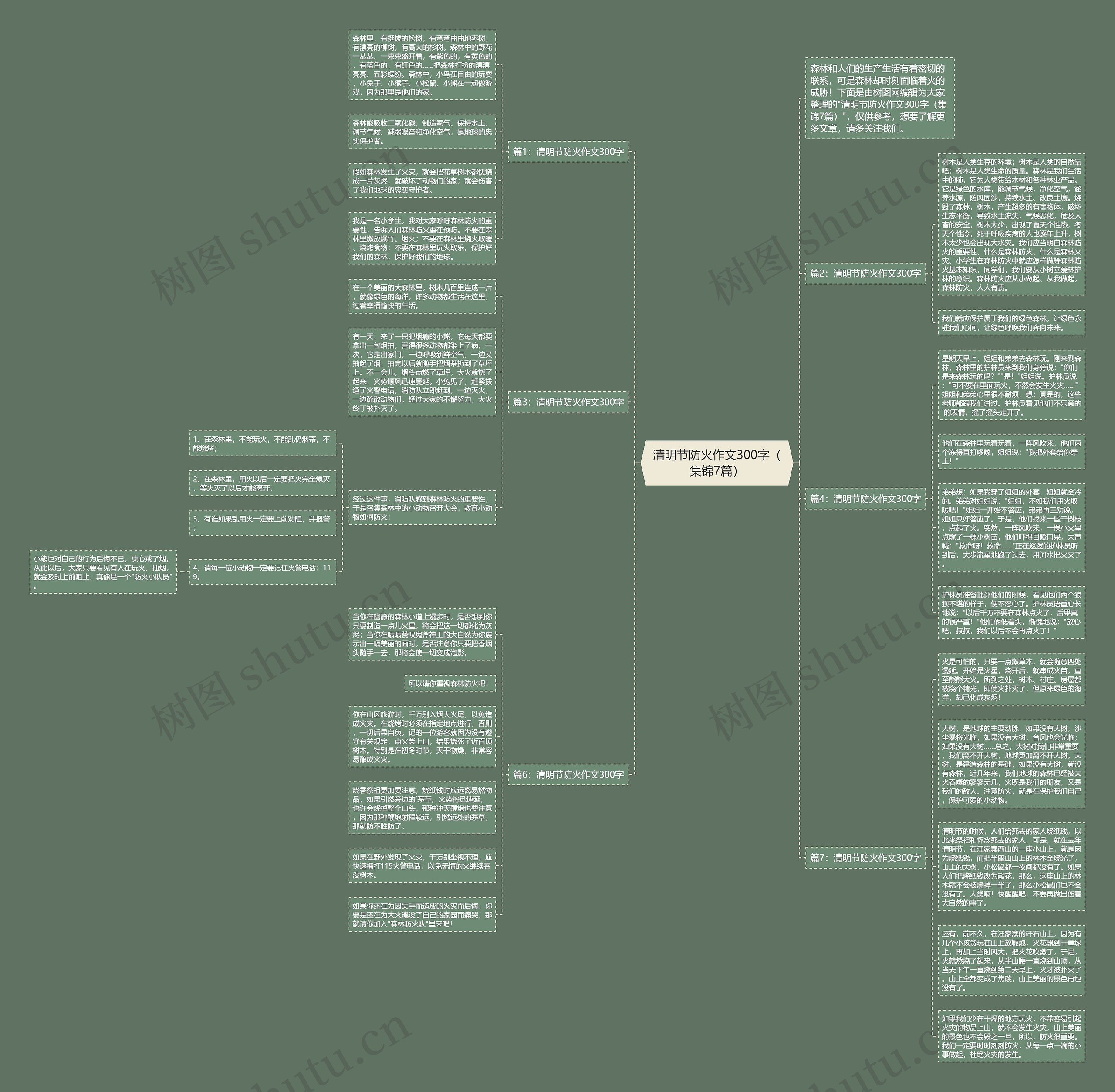 清明节防火作文300字（集锦7篇）思维导图