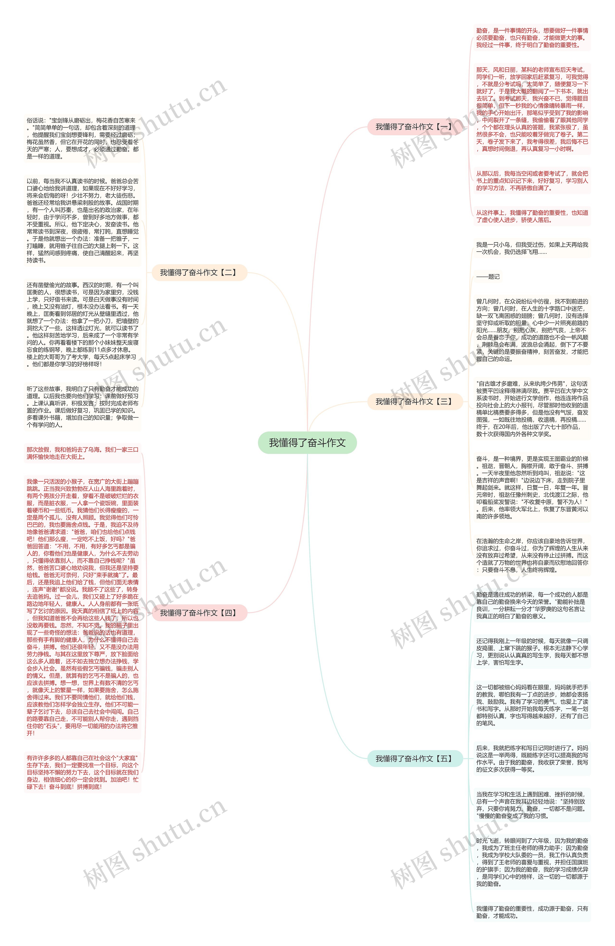 我懂得了奋斗作文思维导图