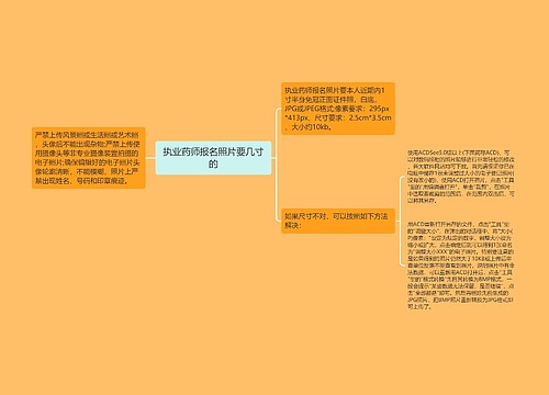 执业药师报名照片要几寸的