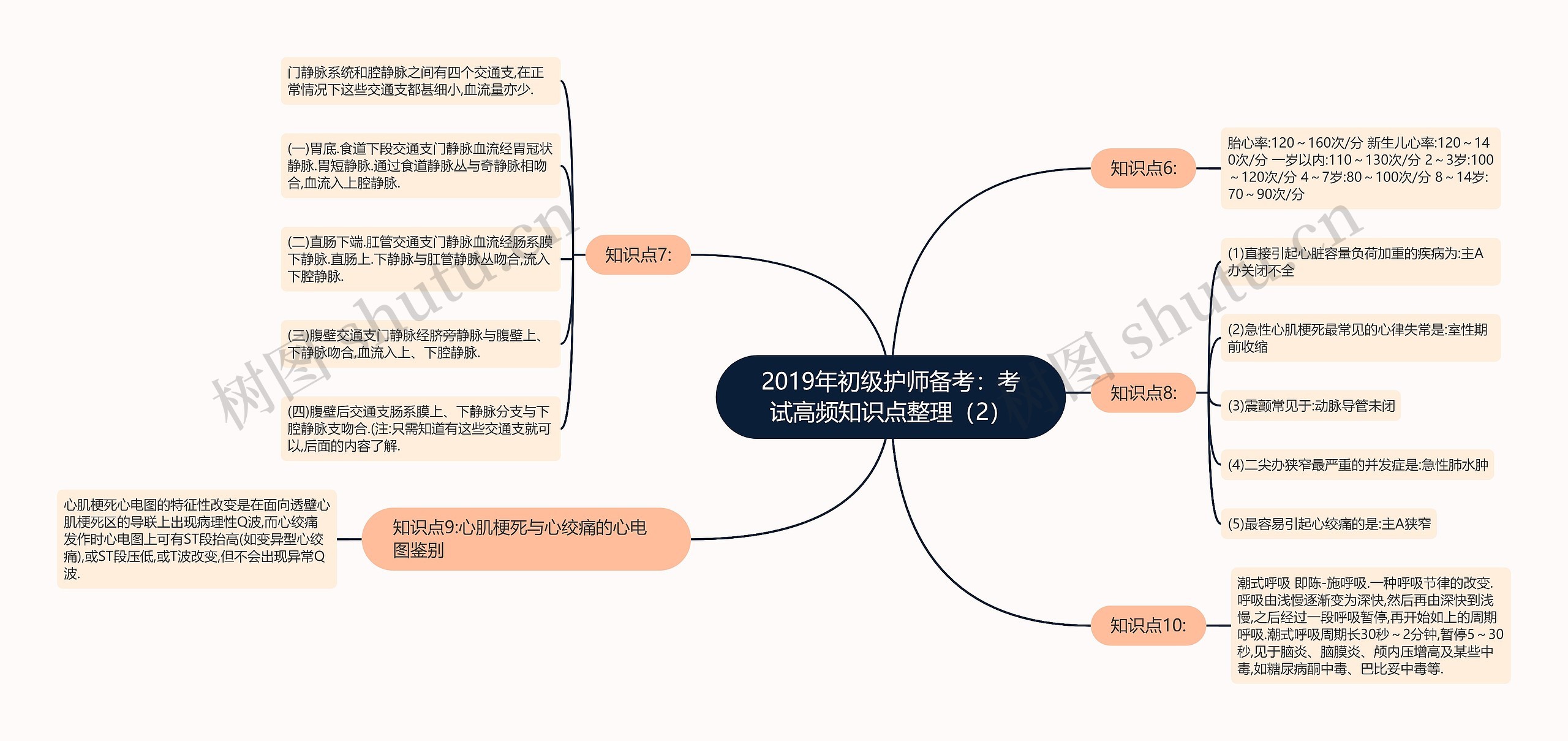 2019年初级护师备考：考试高频知识点整理（2）