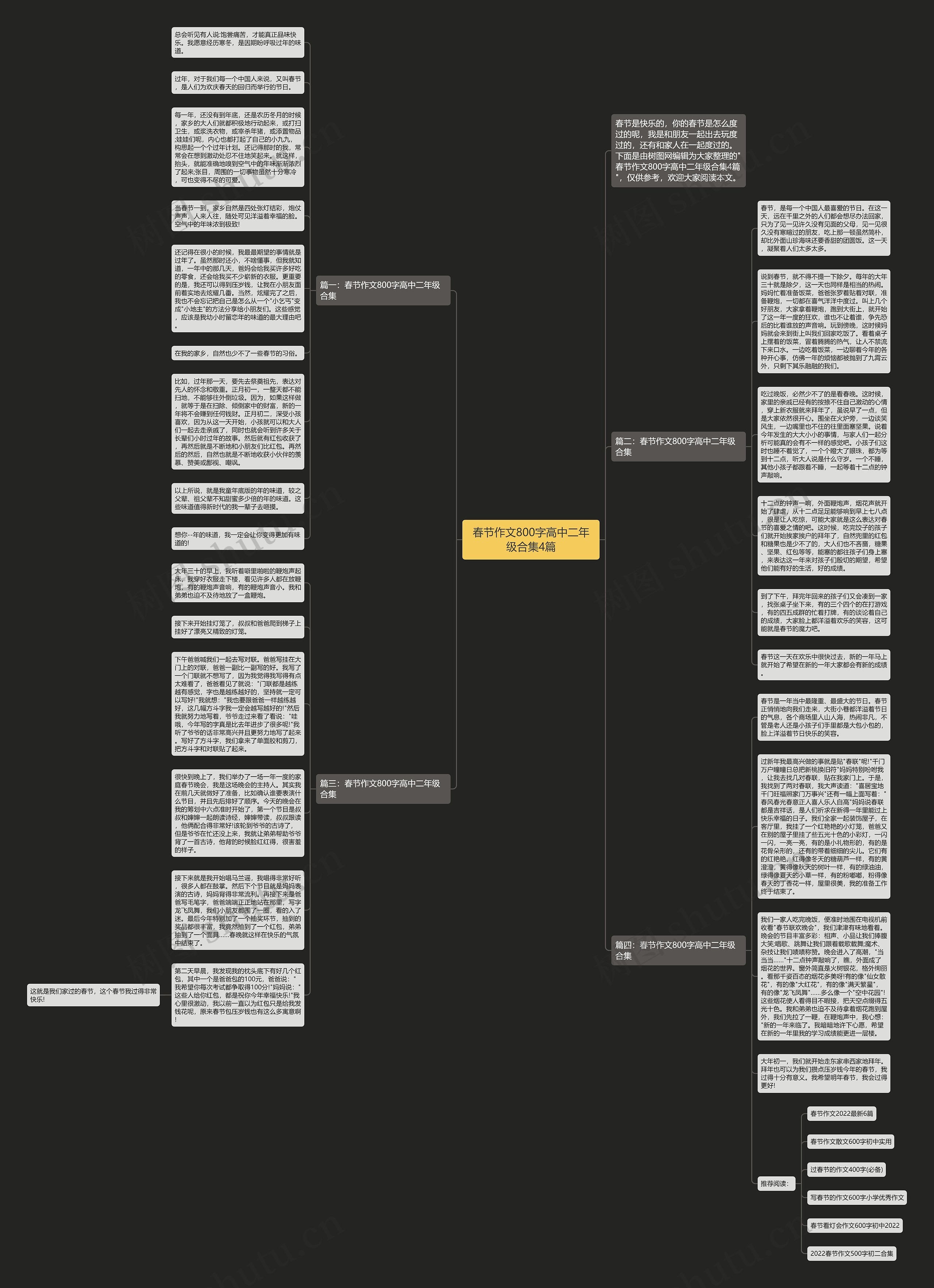 春节作文800字高中二年级合集4篇思维导图