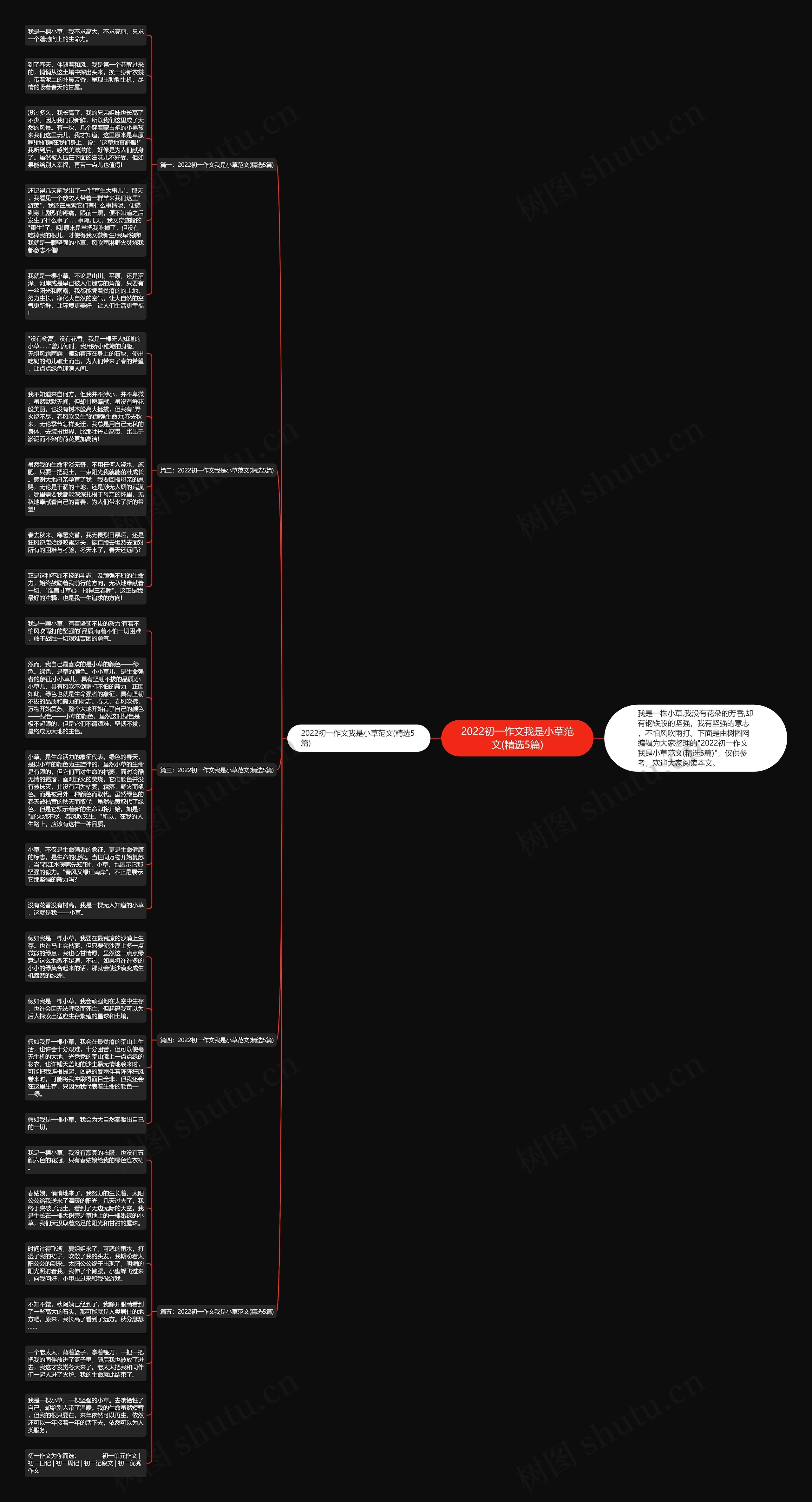 2022初一作文我是小草范文(精选5篇)思维导图