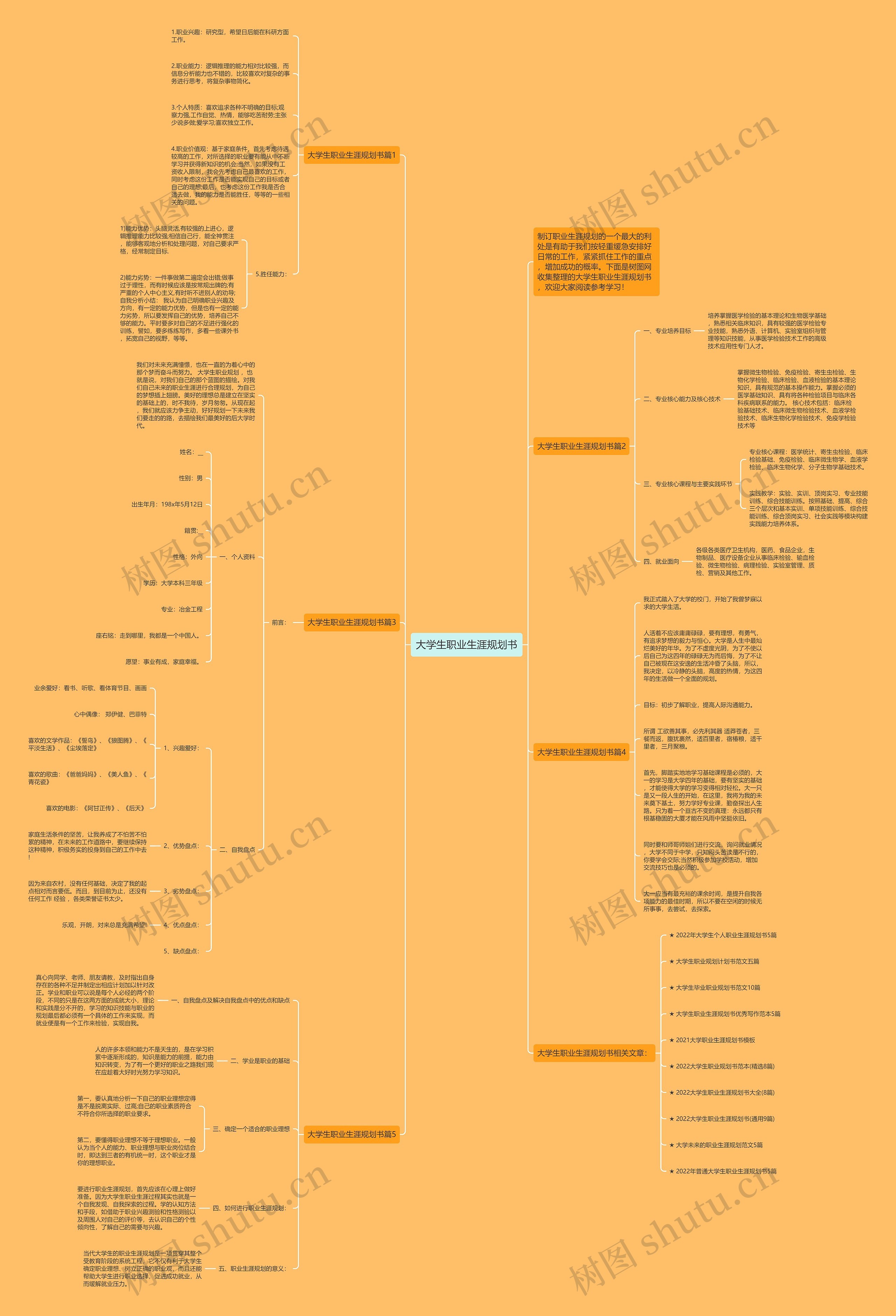 大学生职业生涯规划书思维导图高清图 大学生职业生涯规划书思维导图