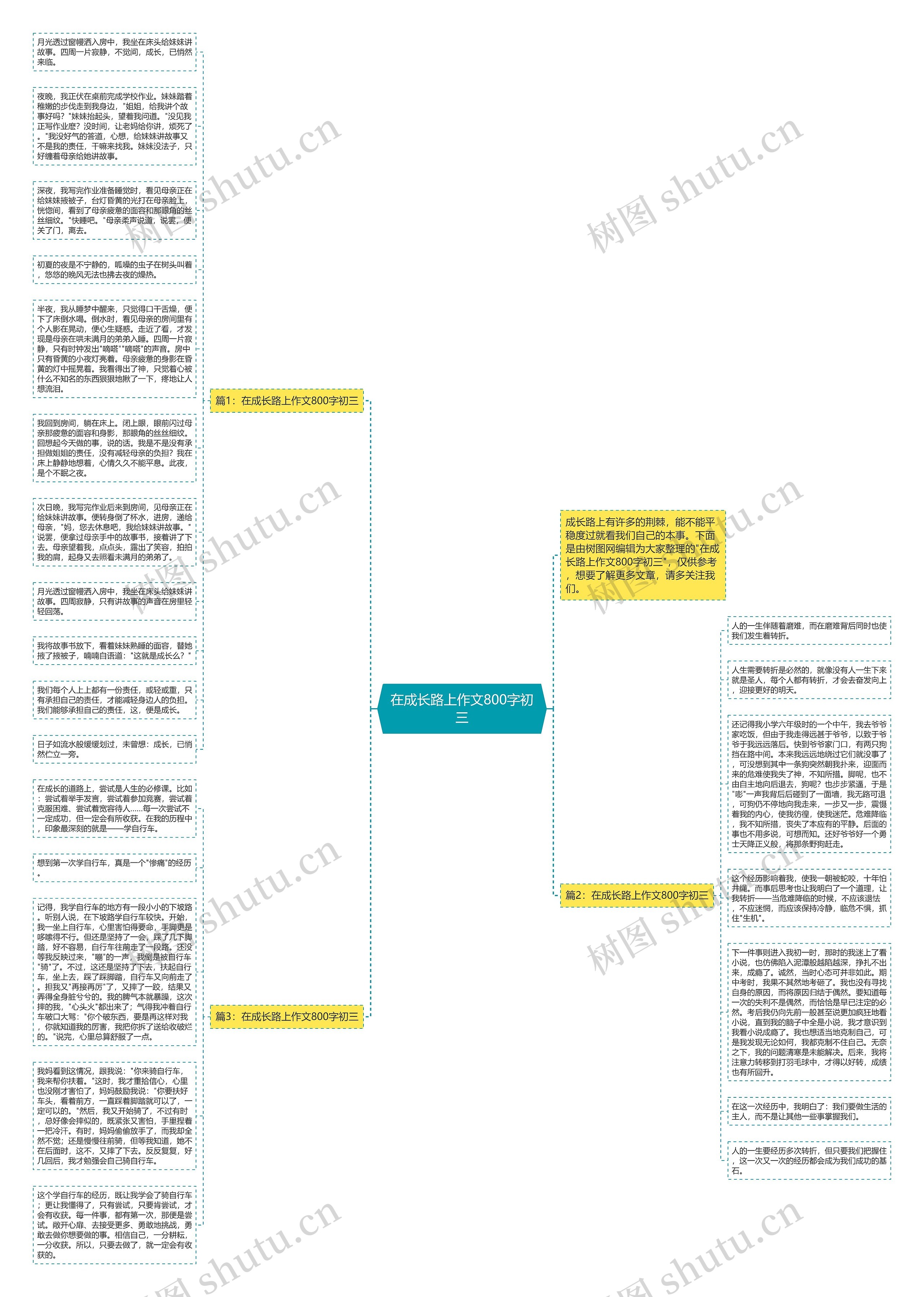 在成长路上作文800字初三思维导图