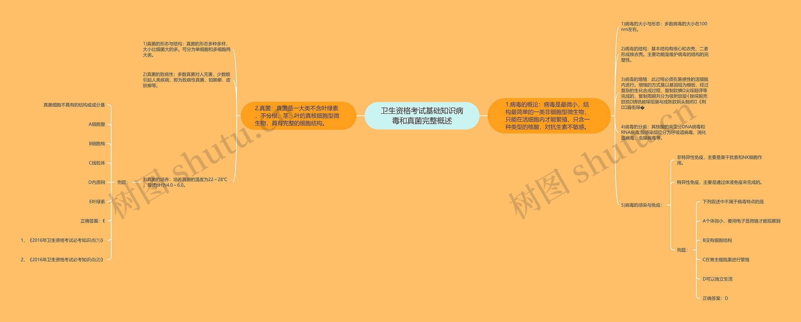 卫生资格考试基础知识病毒和真菌完整概述