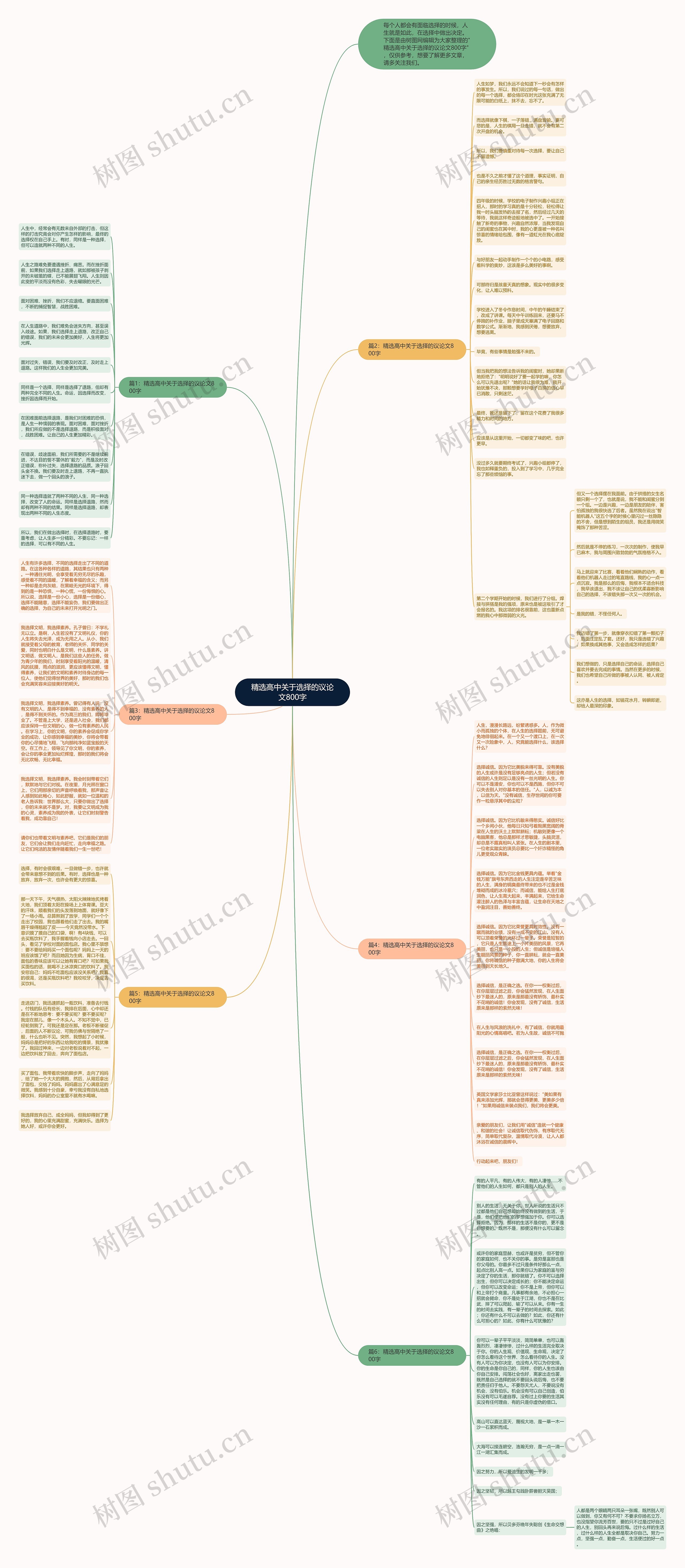 精选高中关于选择的议论文800字思维导图