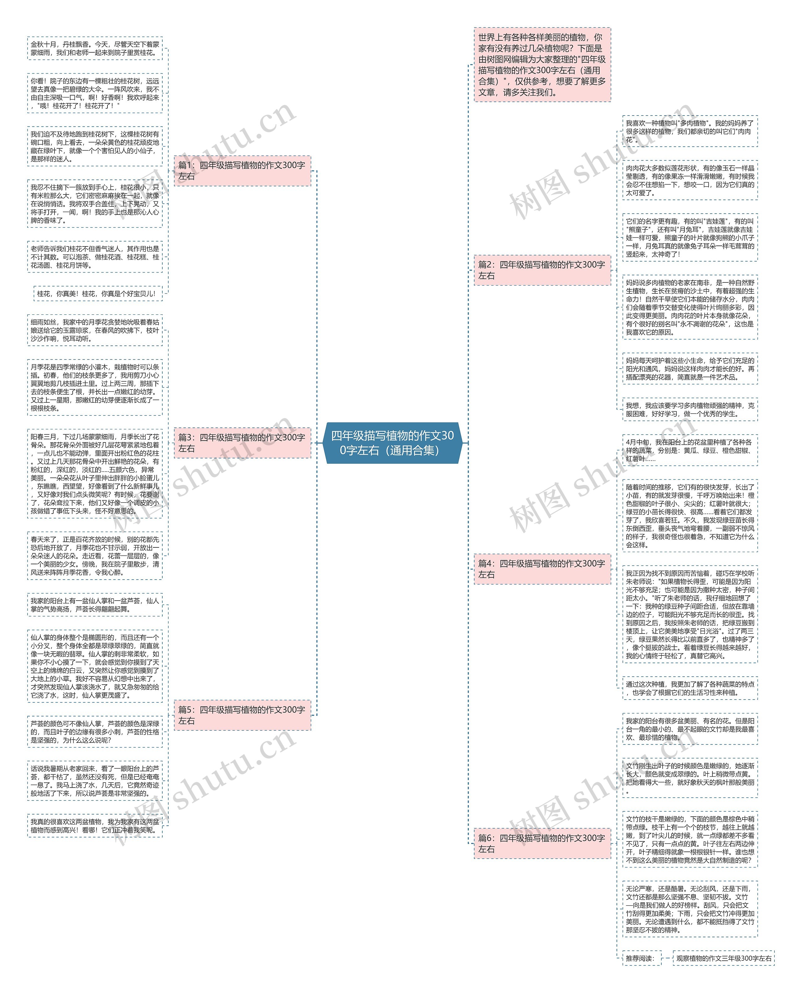四年级描写植物的作文300字左右（通用合集）思维导图