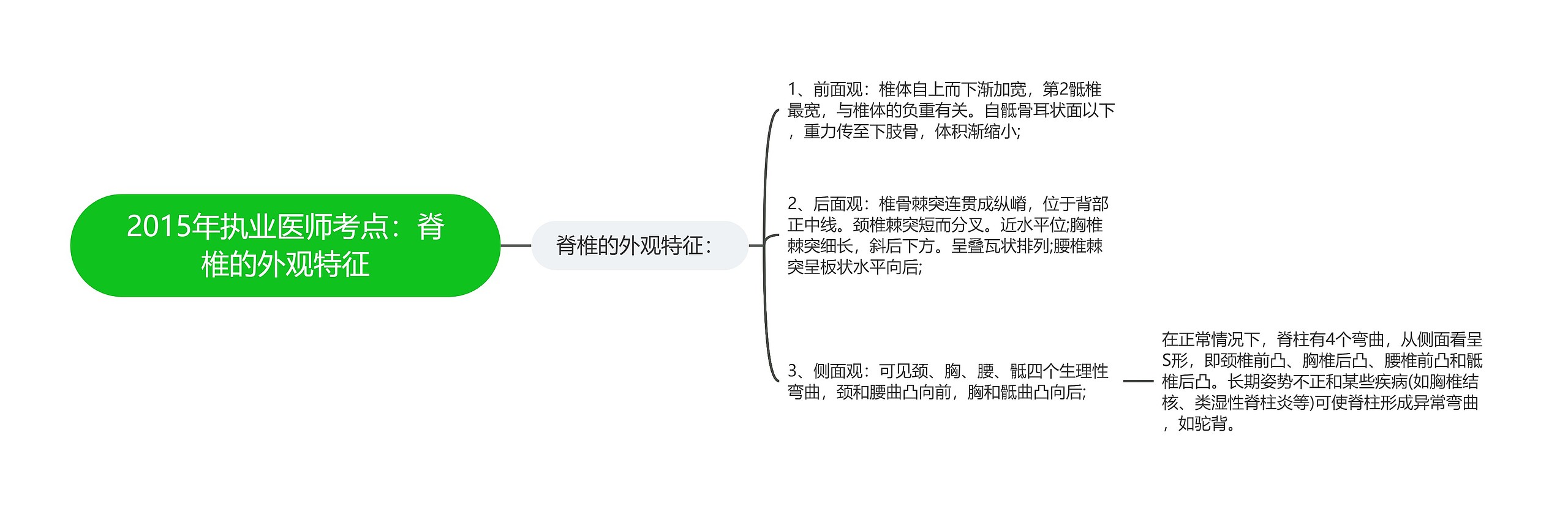 2015年执业医师考点：脊椎的外观特征