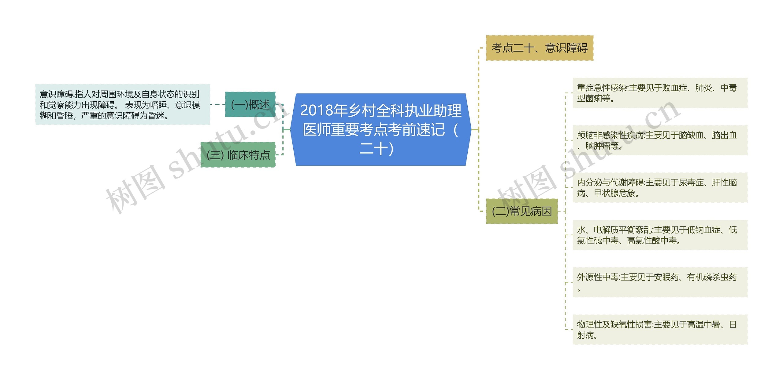 2018年乡村全科执业助理医师重要考点考前速记（二十）思维导图