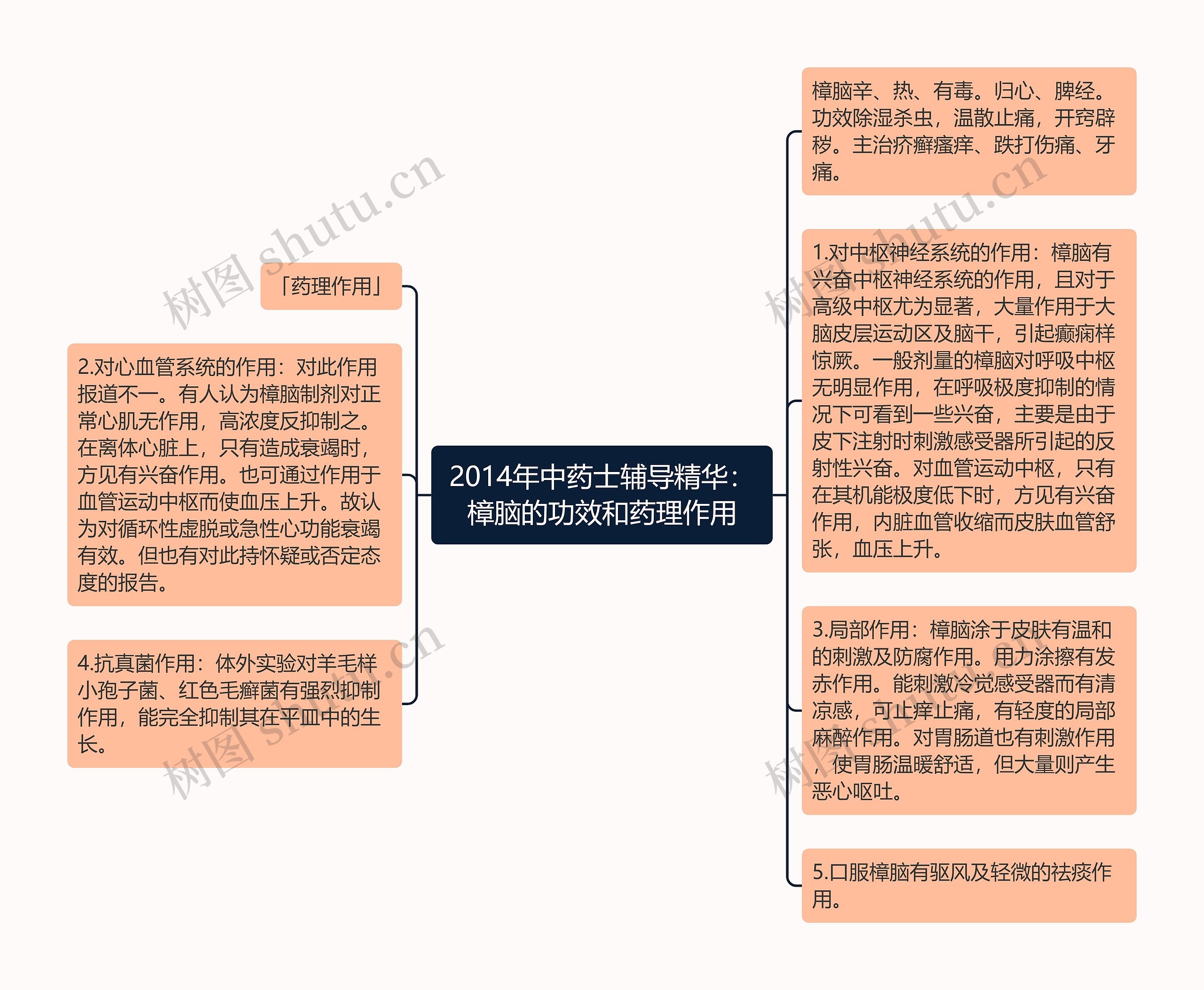 2014年中药士辅导精华：樟脑的功效和药理作用思维导图