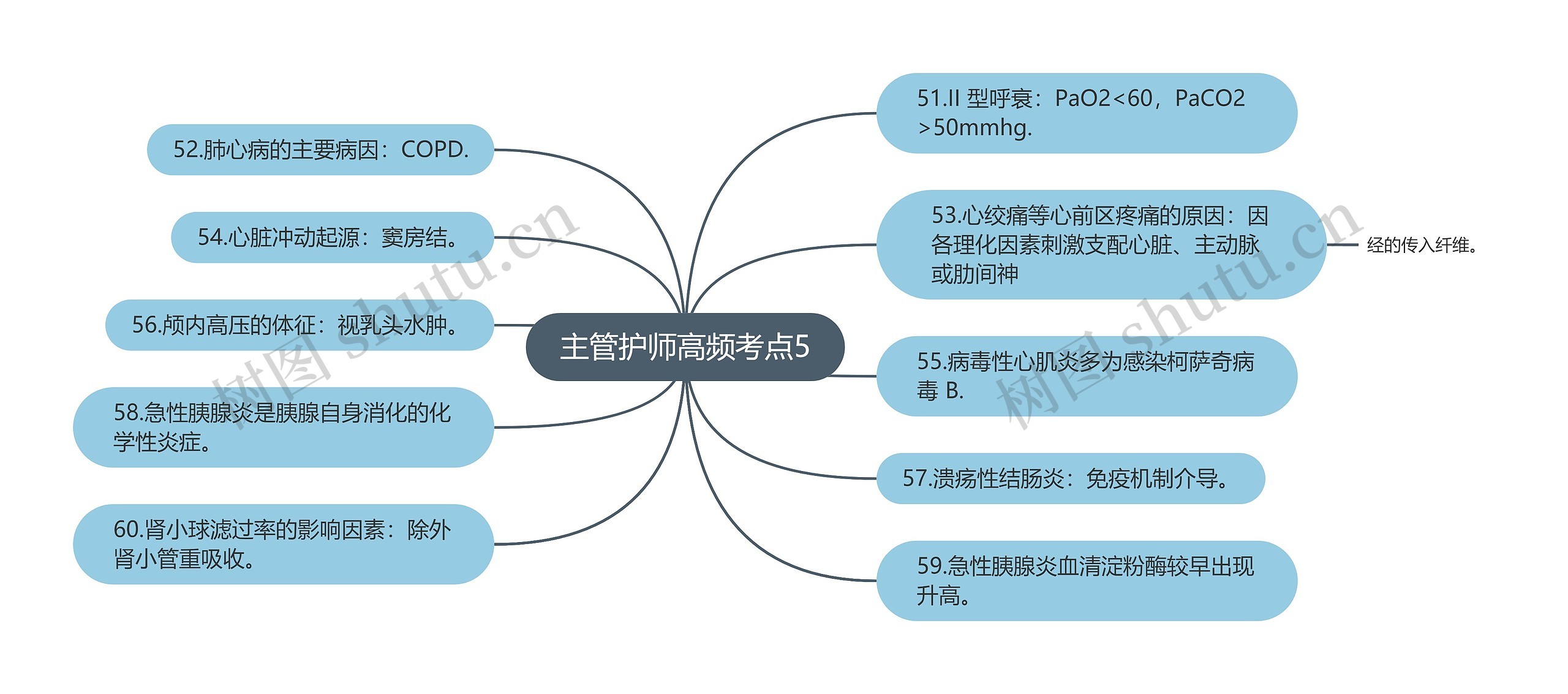 主管护师高频考点5思维导图