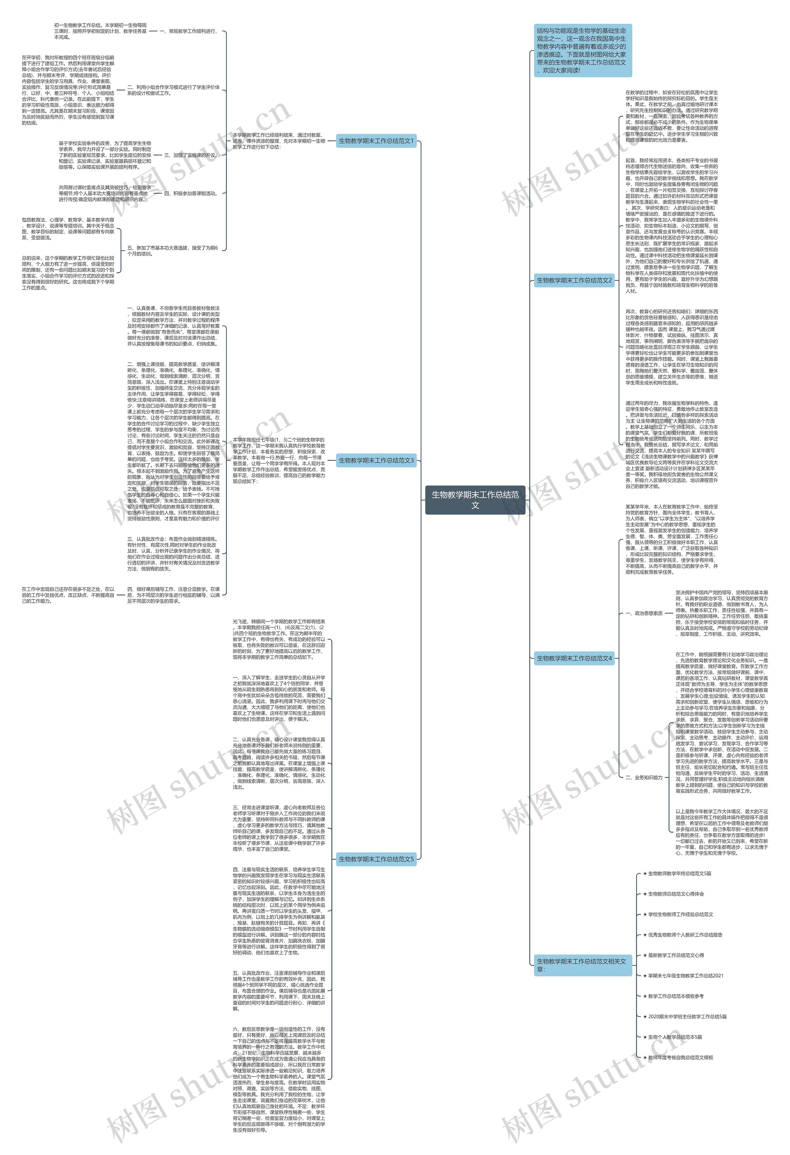 生物教学期末工作总结范文思维导图