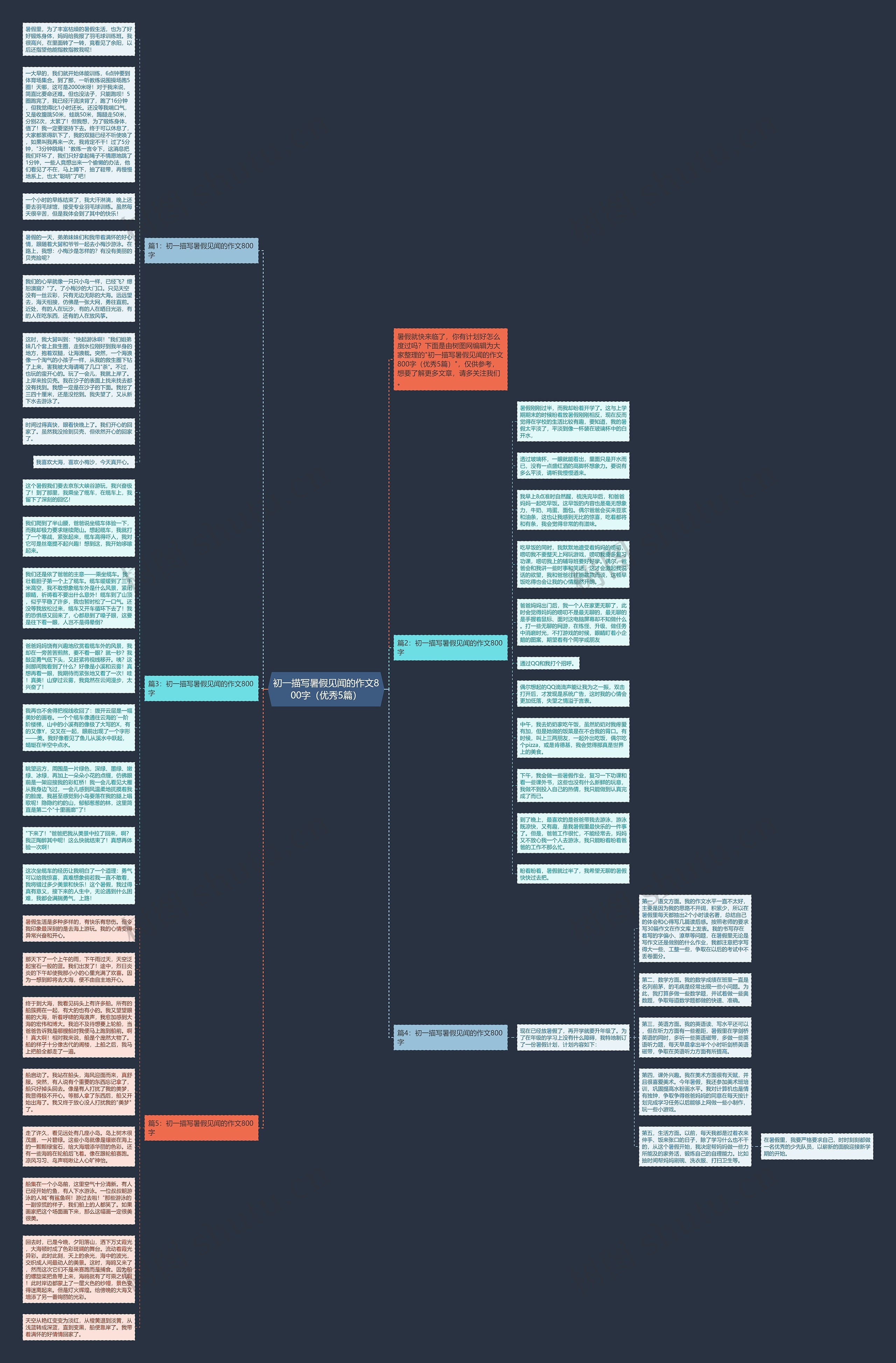 初一描写暑假见闻的作文800字（优秀5篇）思维导图