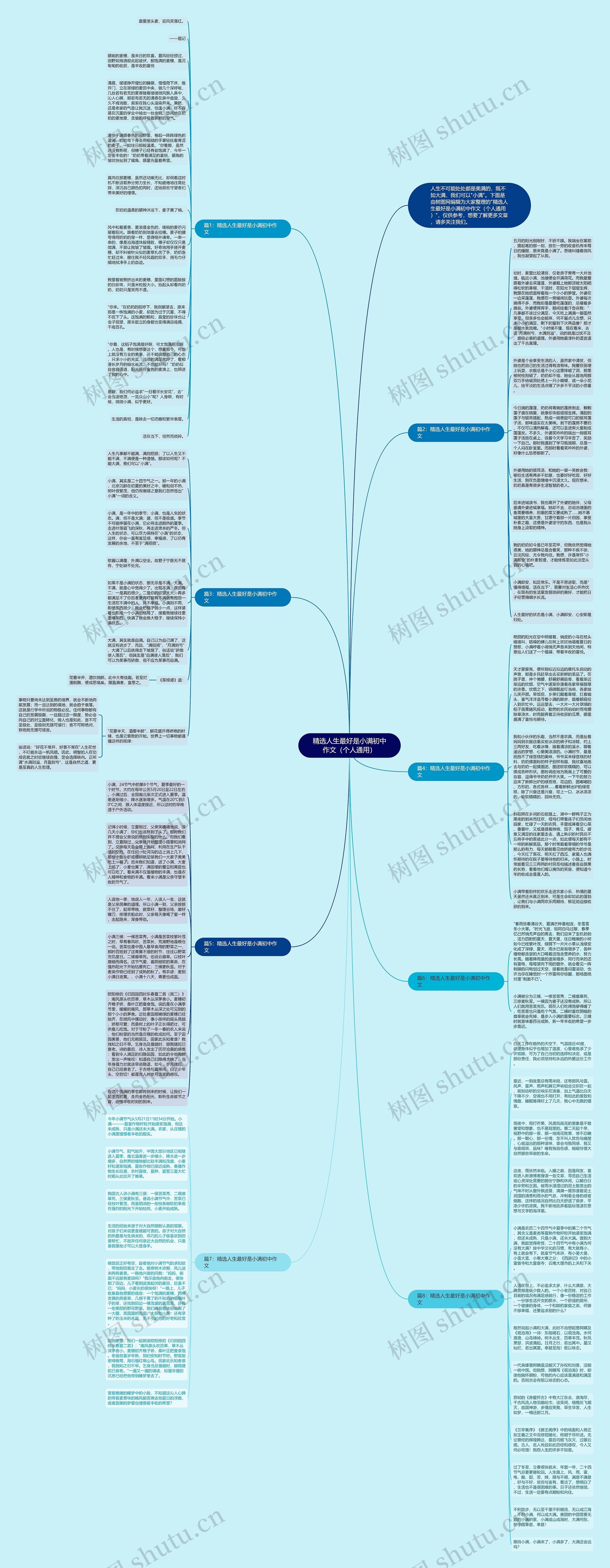 精选人生最好是小满初中作文（个人通用）思维导图